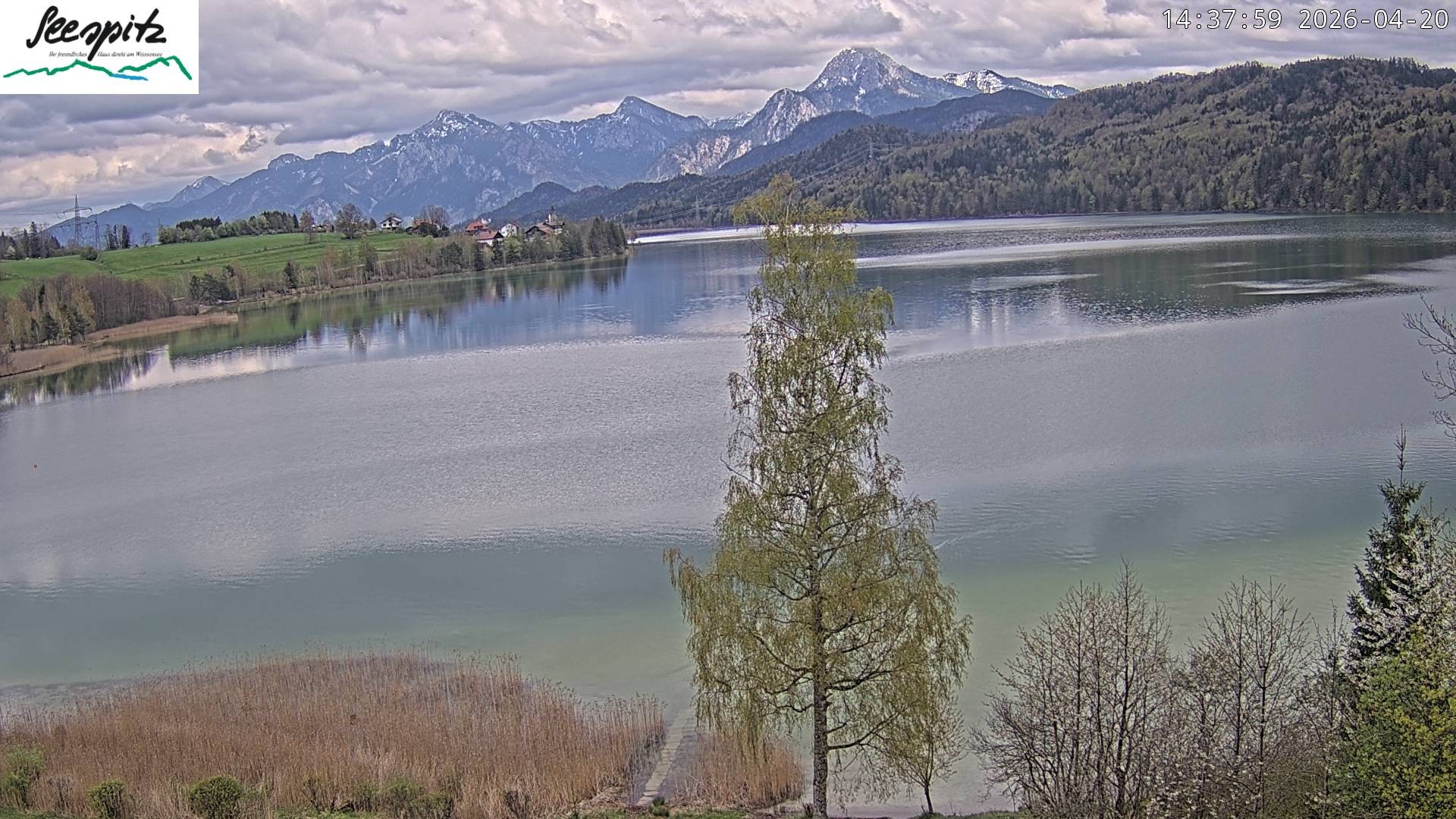 Archiv Foto Webcam Füssen: Blick auf den Weißensee vom Hotel Seespitz