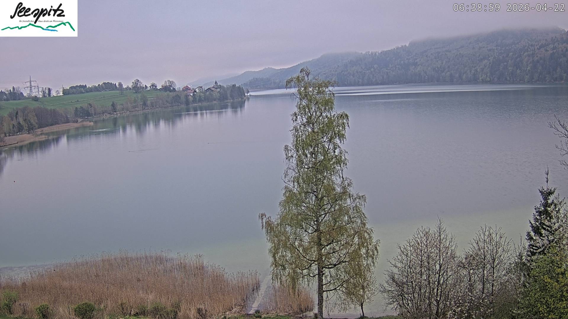 Archiv Foto Webcam Füssen: Blick auf den Weißensee vom Hotel Seespitz