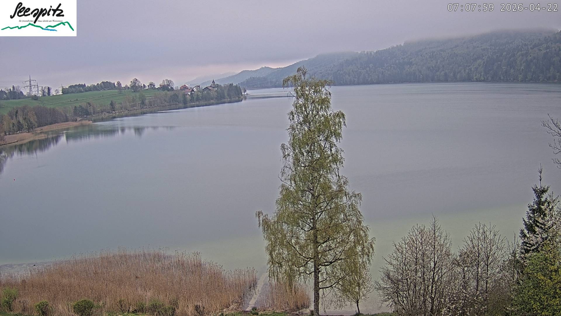 Archiv Foto Webcam Füssen: Blick auf den Weißensee vom Hotel Seespitz