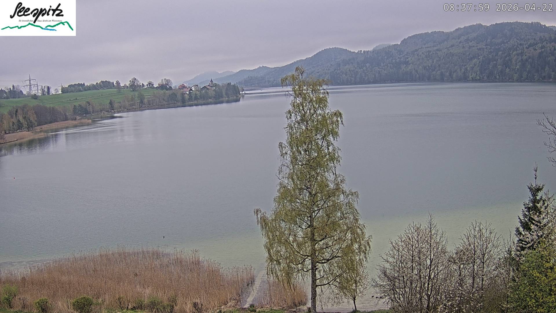 Archiv Foto Webcam Füssen: Blick auf den Weißensee vom Hotel Seespitz