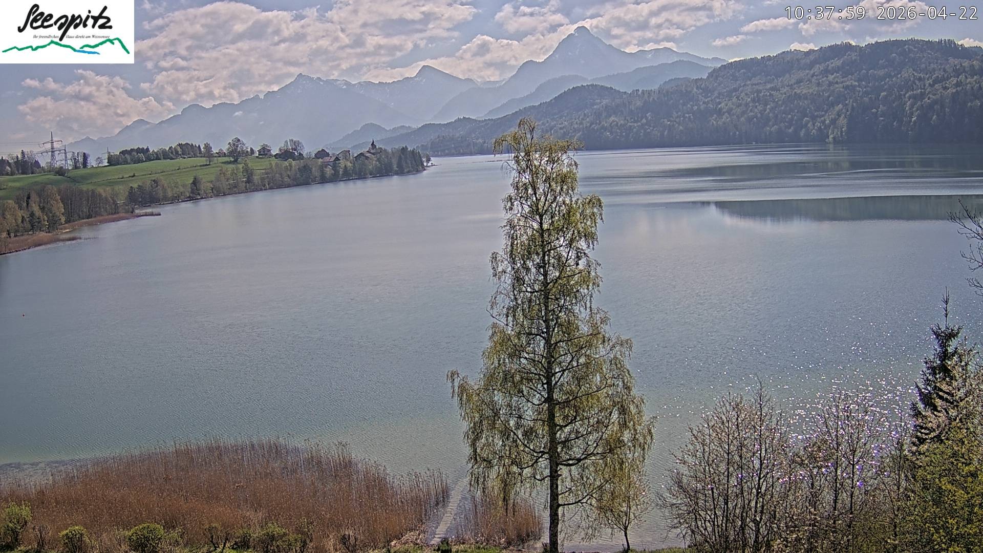 Archiv Foto Webcam Füssen: Blick auf den Weißensee vom Hotel Seespitz