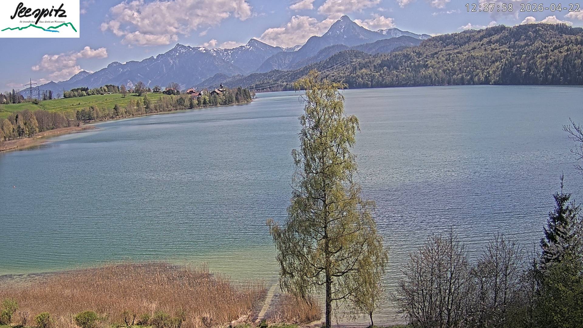 Archiv Foto Webcam Füssen: Blick auf den Weißensee vom Hotel Seespitz