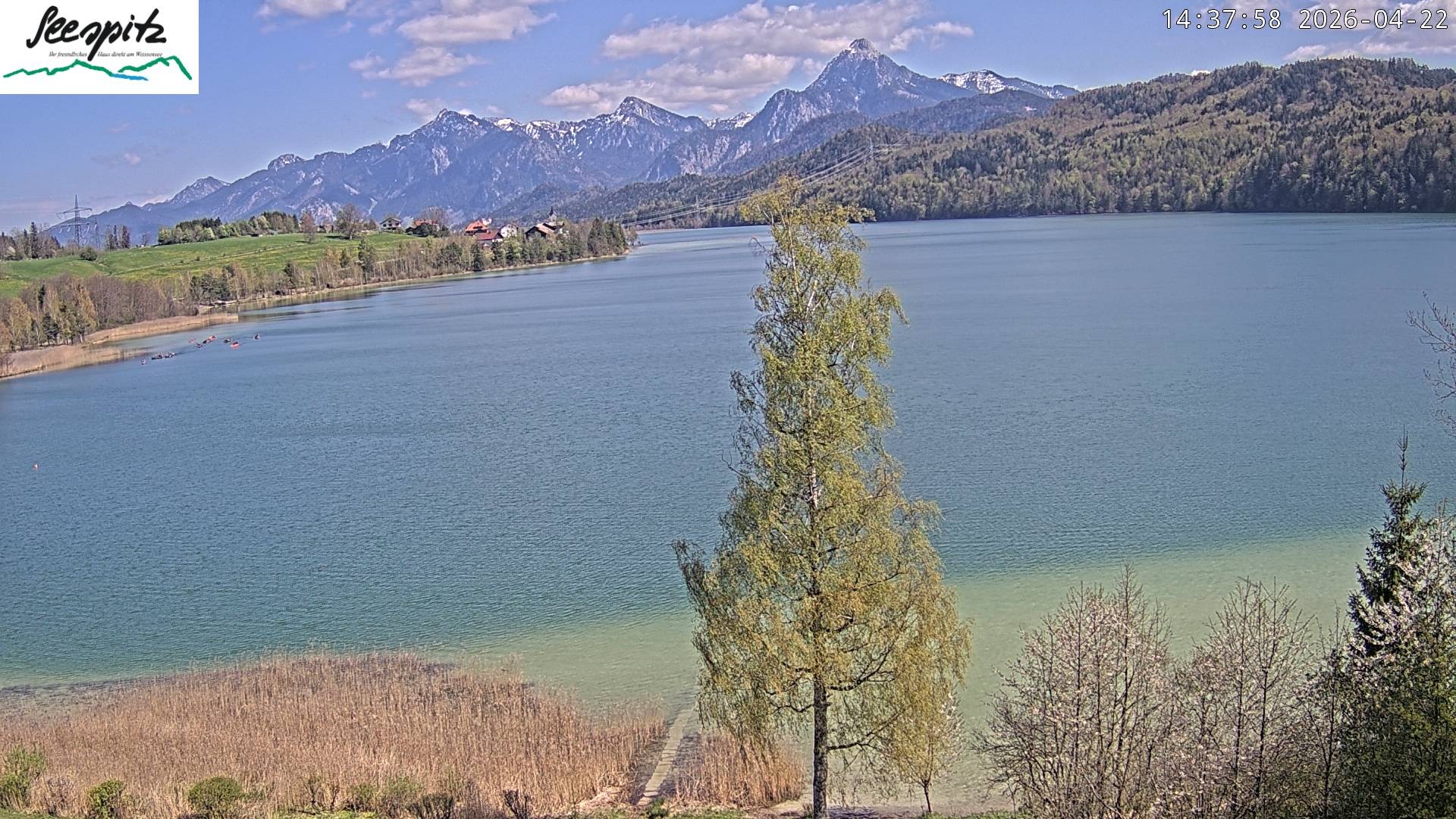 Archived image Webcam Weissensee near Füssen