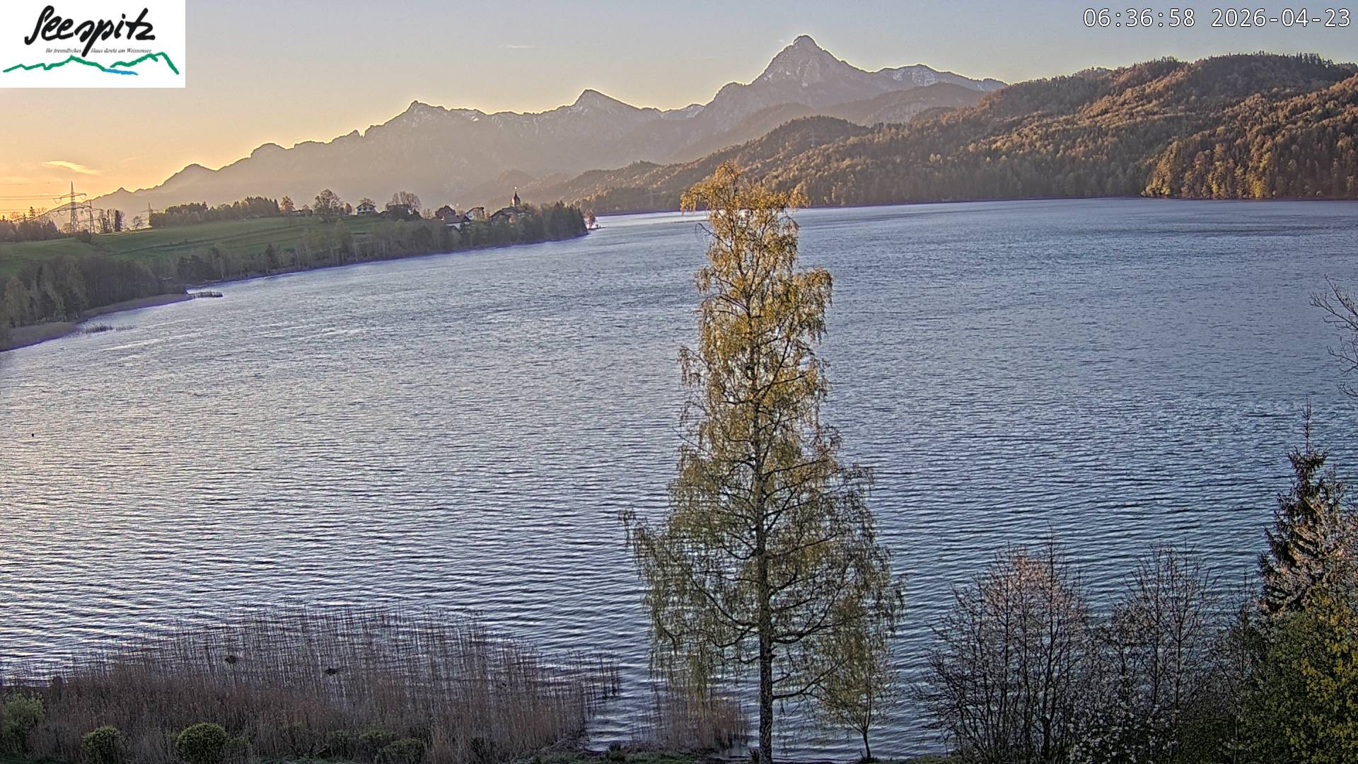 Archiv Foto Webcam Füssen: Blick auf den Weißensee vom Hotel Seespitz