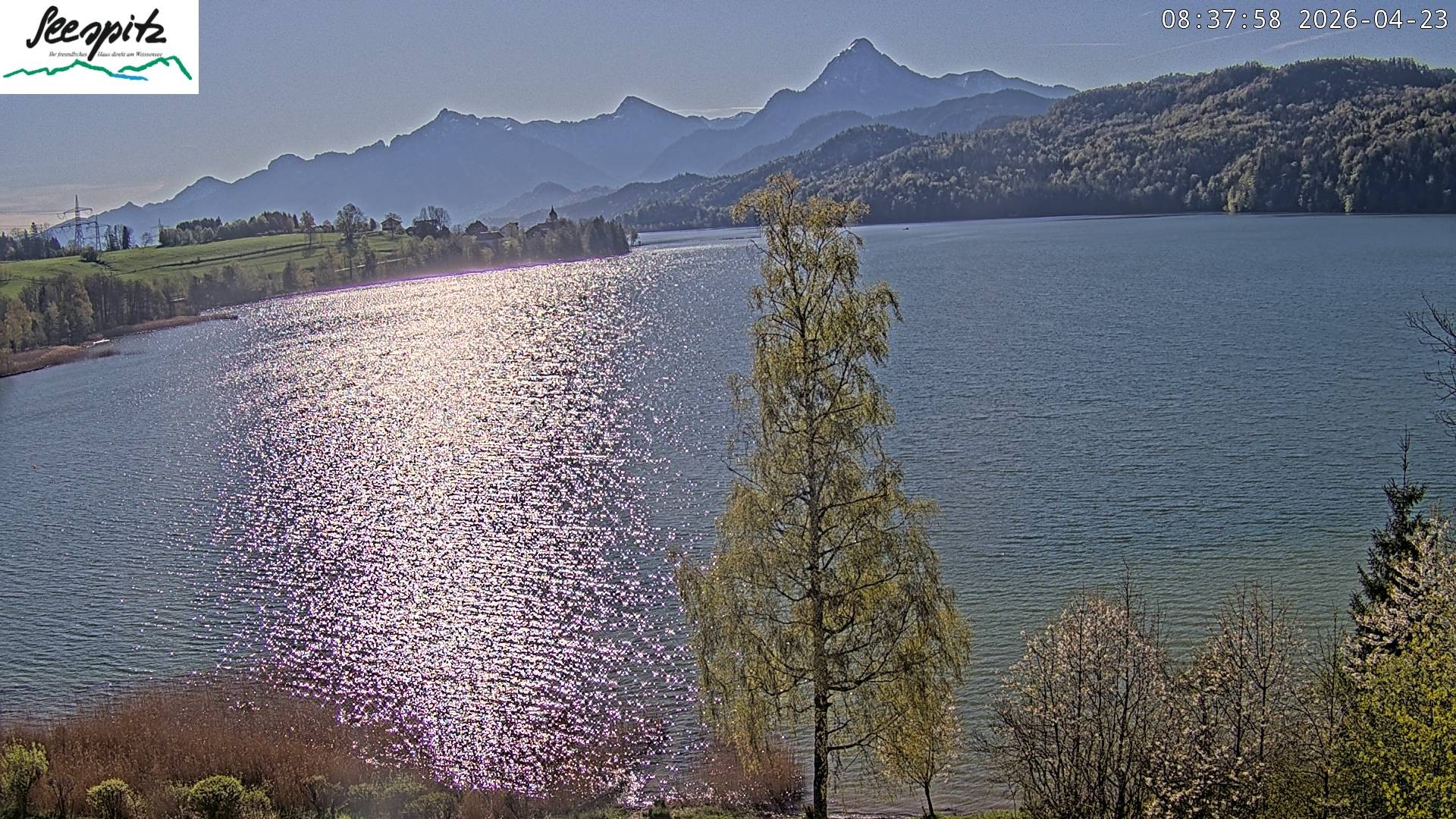 Archiv Foto Webcam Füssen: Blick auf den Weißensee vom Hotel Seespitz