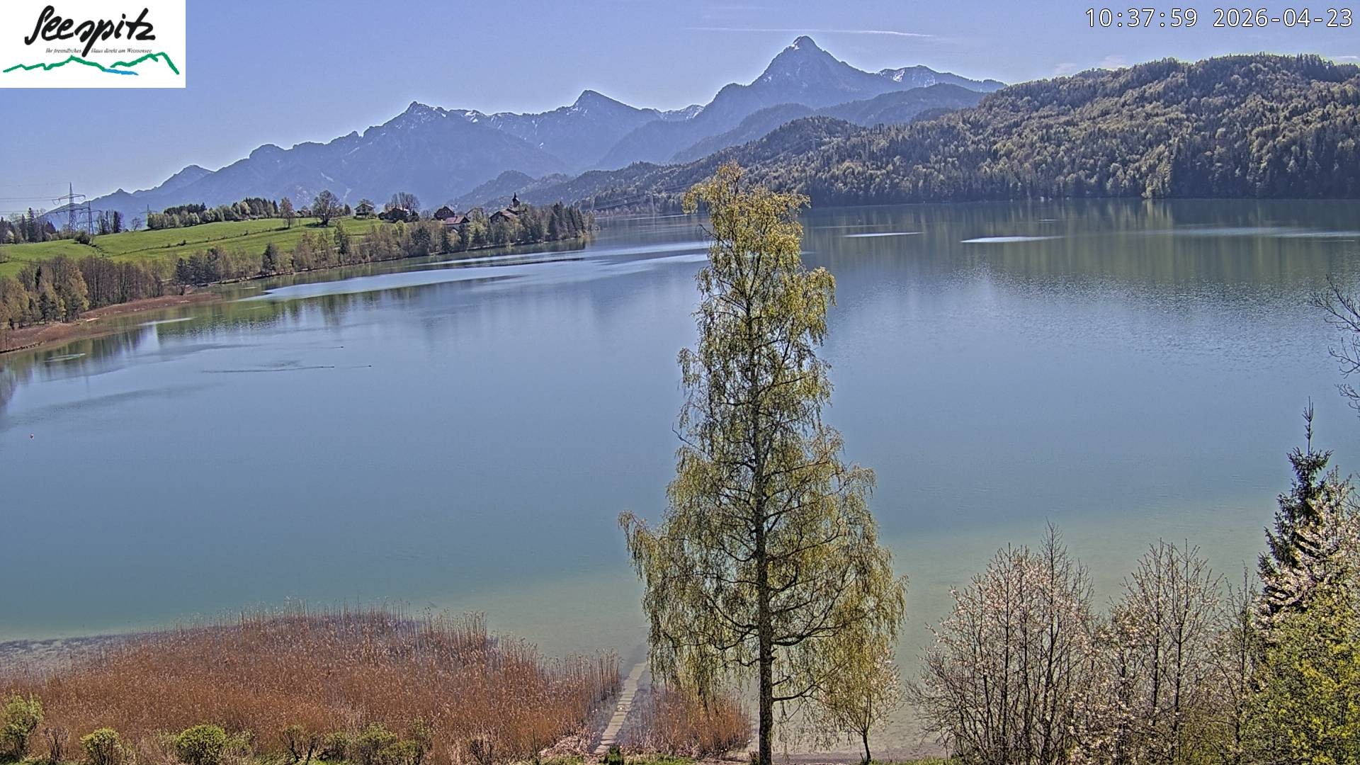 Archived image Webcam Weissensee near Füssen