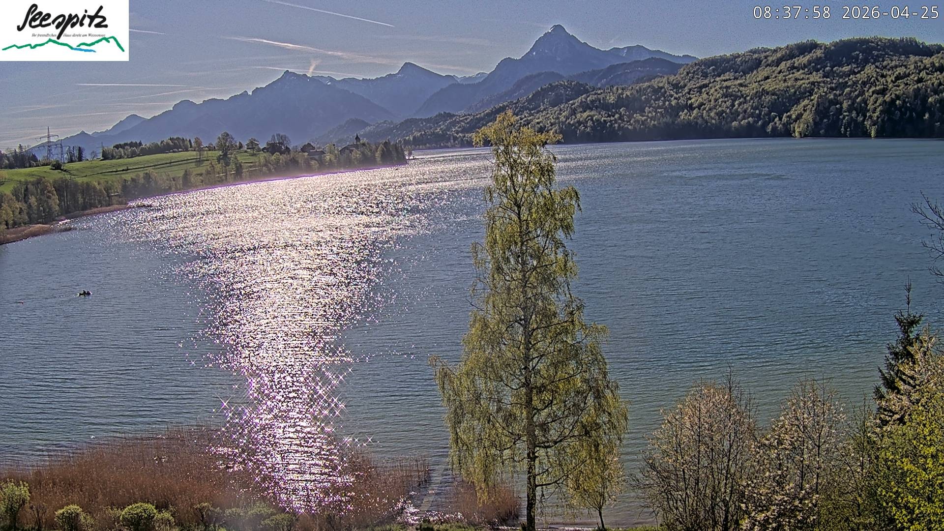 Archived image Webcam Weissensee near Füssen