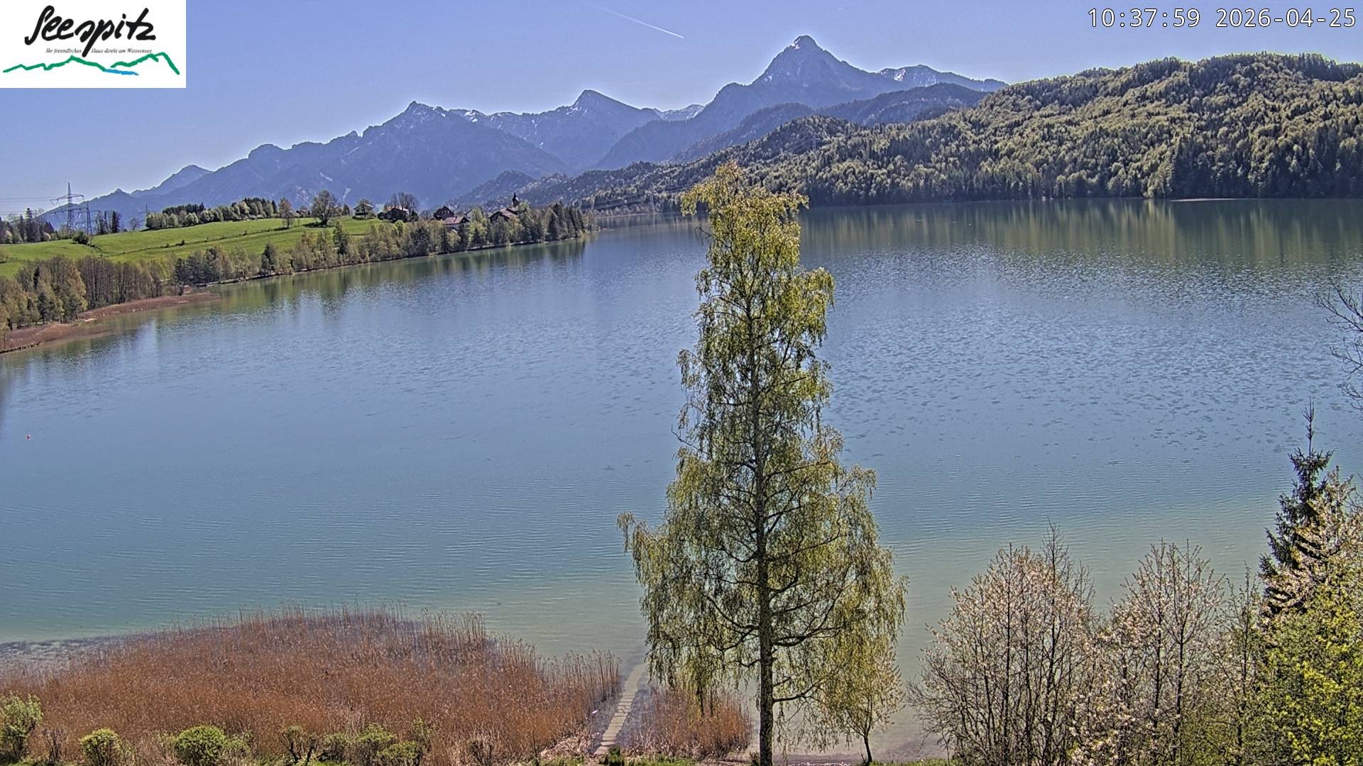 Archived image Webcam Weissensee near Füssen