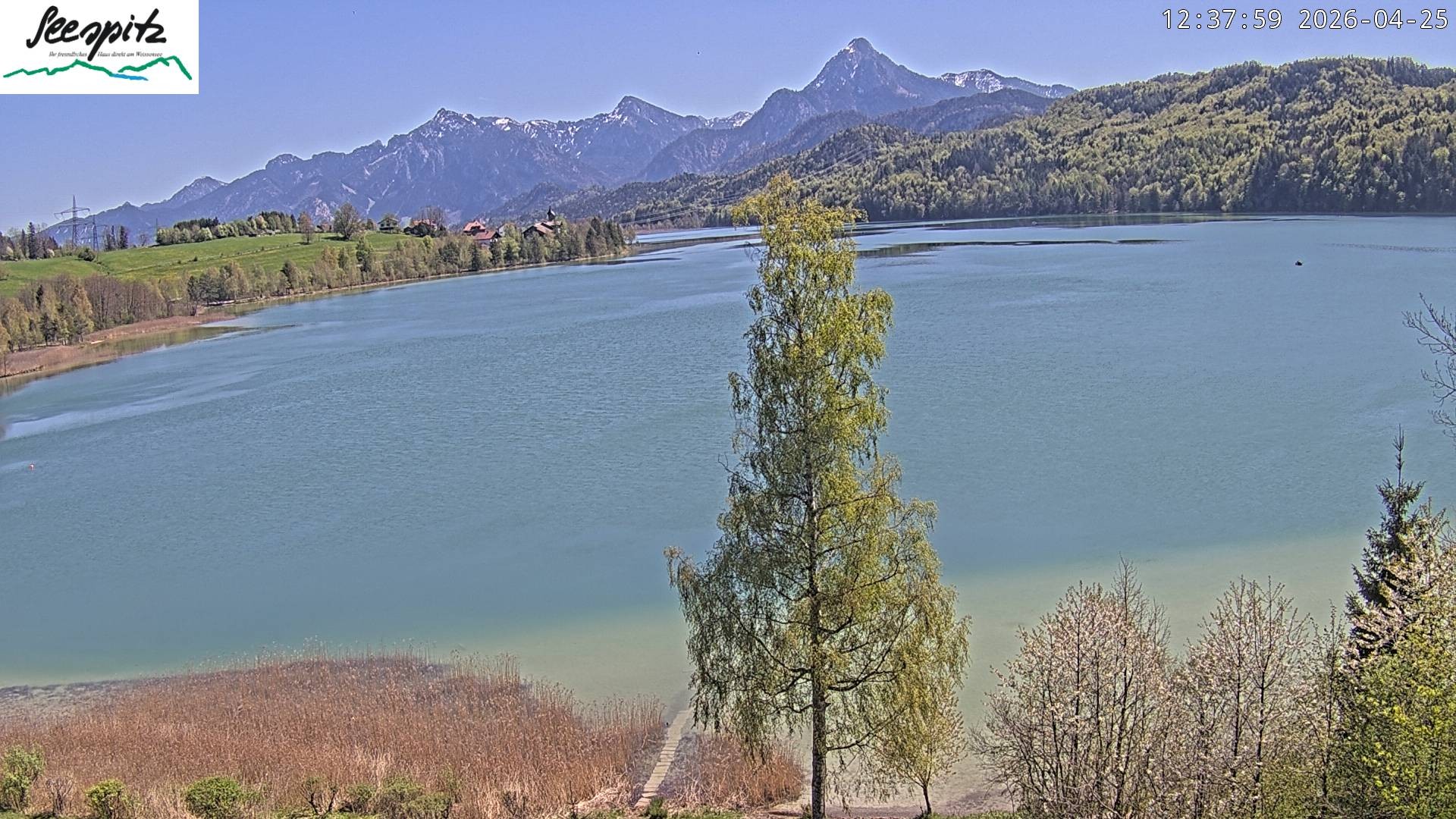 Archived image Webcam Weissensee near Füssen