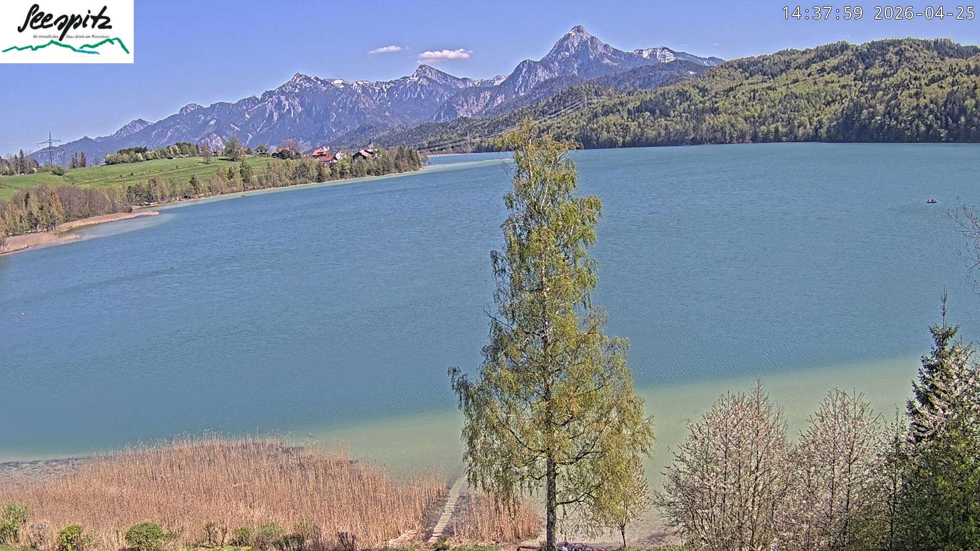 Archived image Webcam Weissensee near Füssen