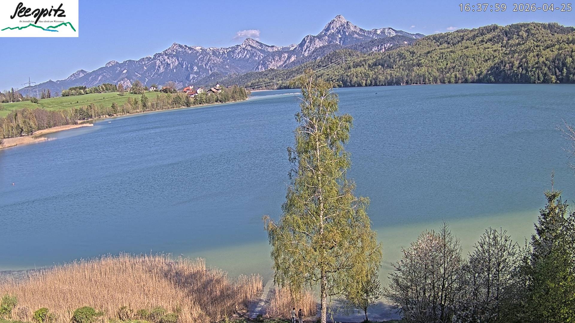 Archived image Webcam Weissensee near Füssen