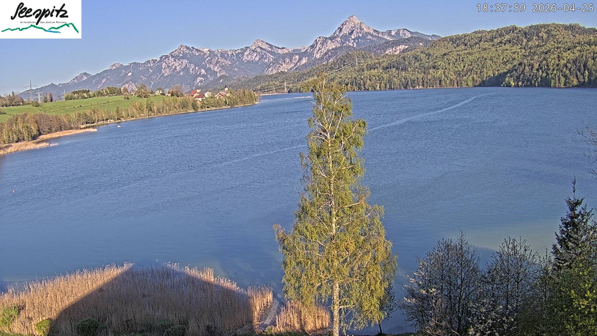 Archived image Webcam Weissensee near Füssen