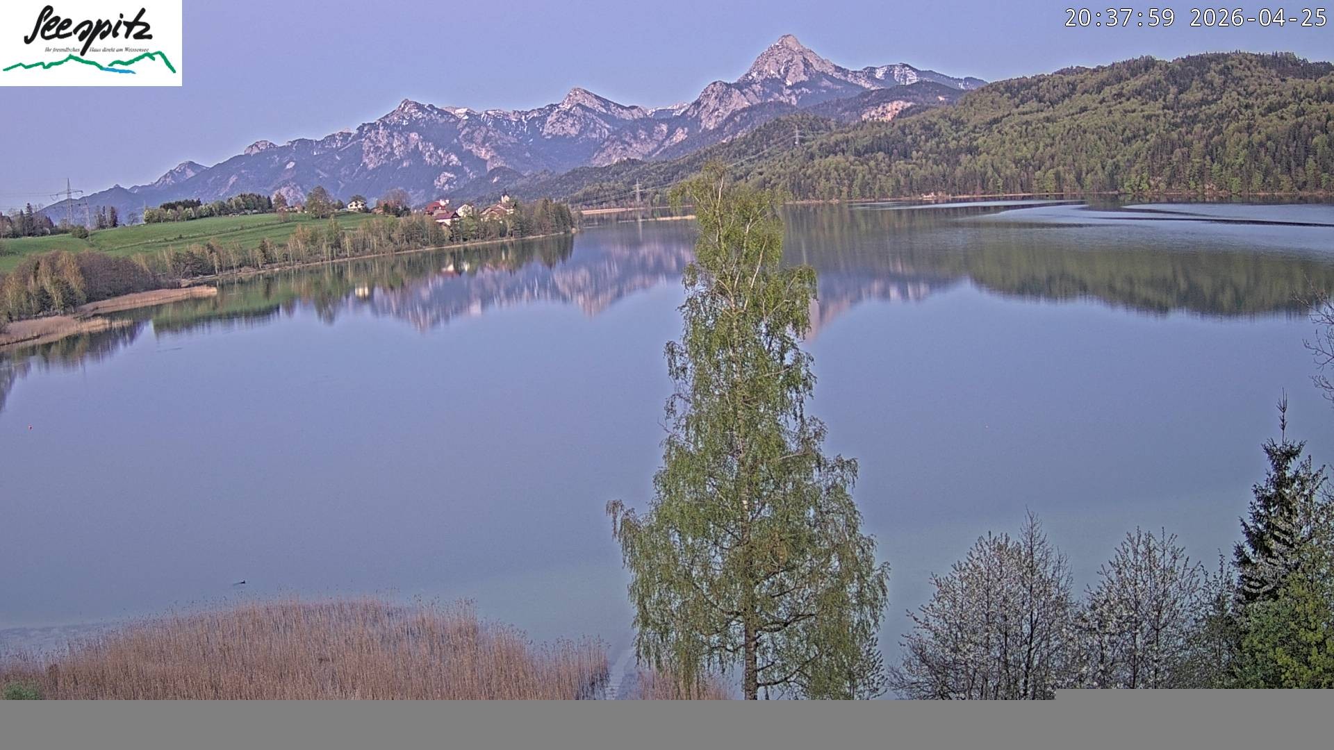 Archived image Webcam Weissensee near Füssen
