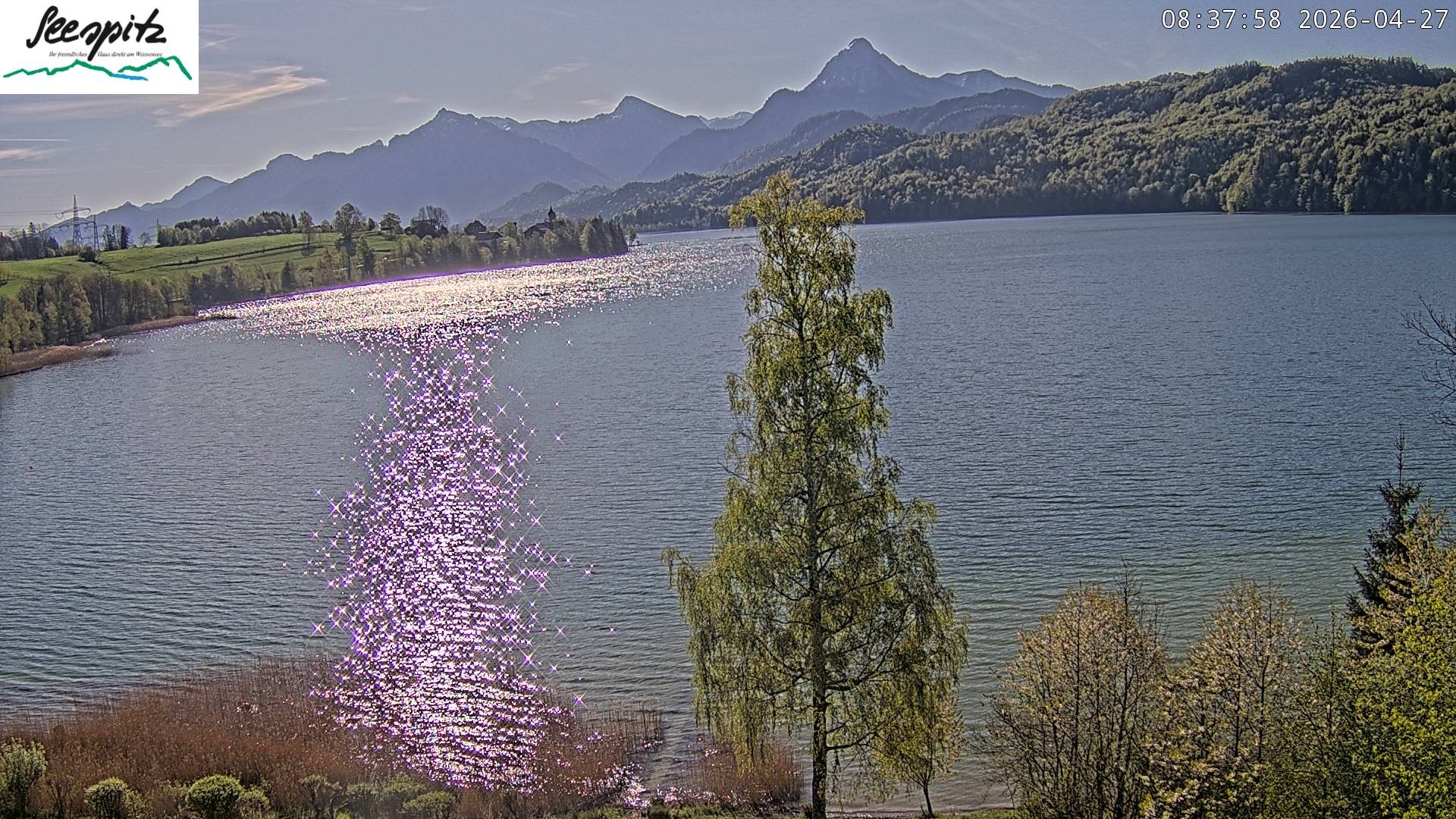 Archiv Foto Webcam Füssen: Blick auf den Weißensee vom Hotel Seespitz