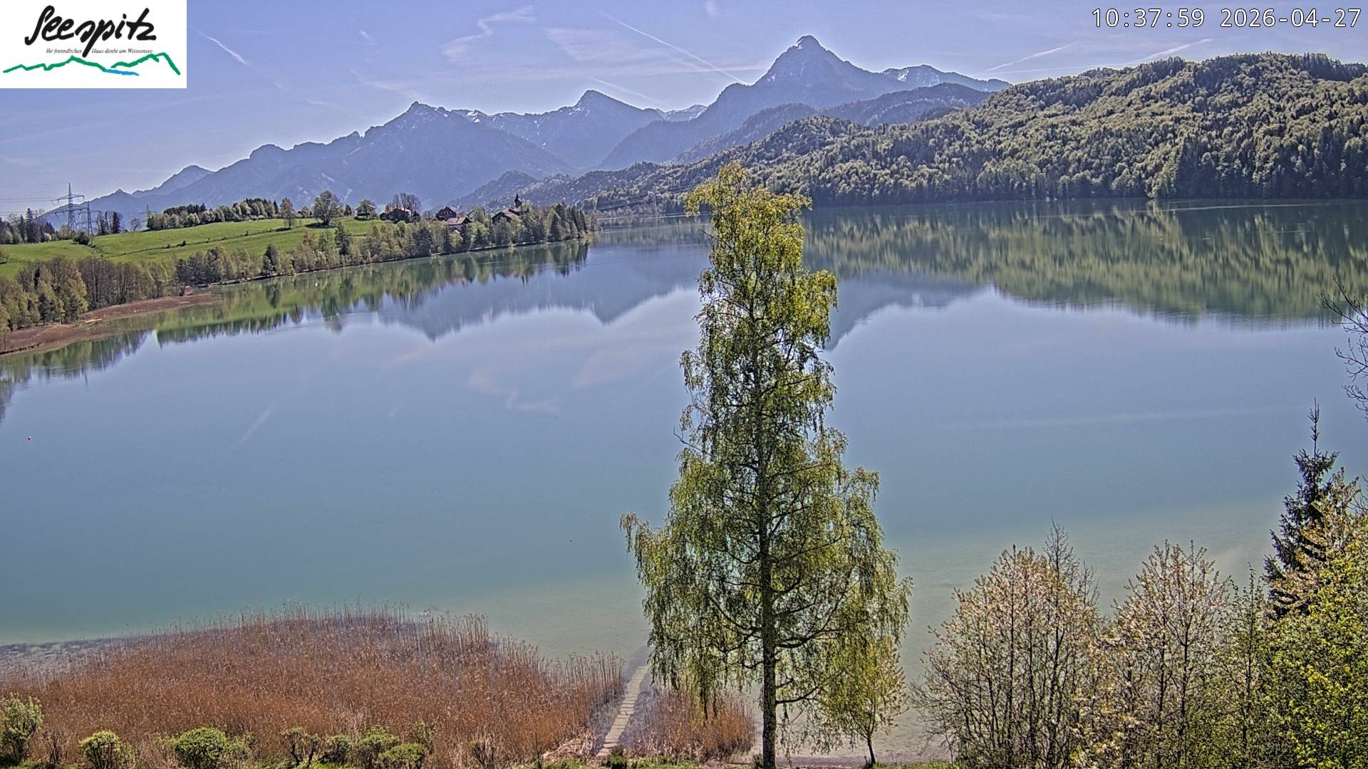 Archiv Foto Webcam Füssen: Blick auf den Weißensee vom Hotel Seespitz