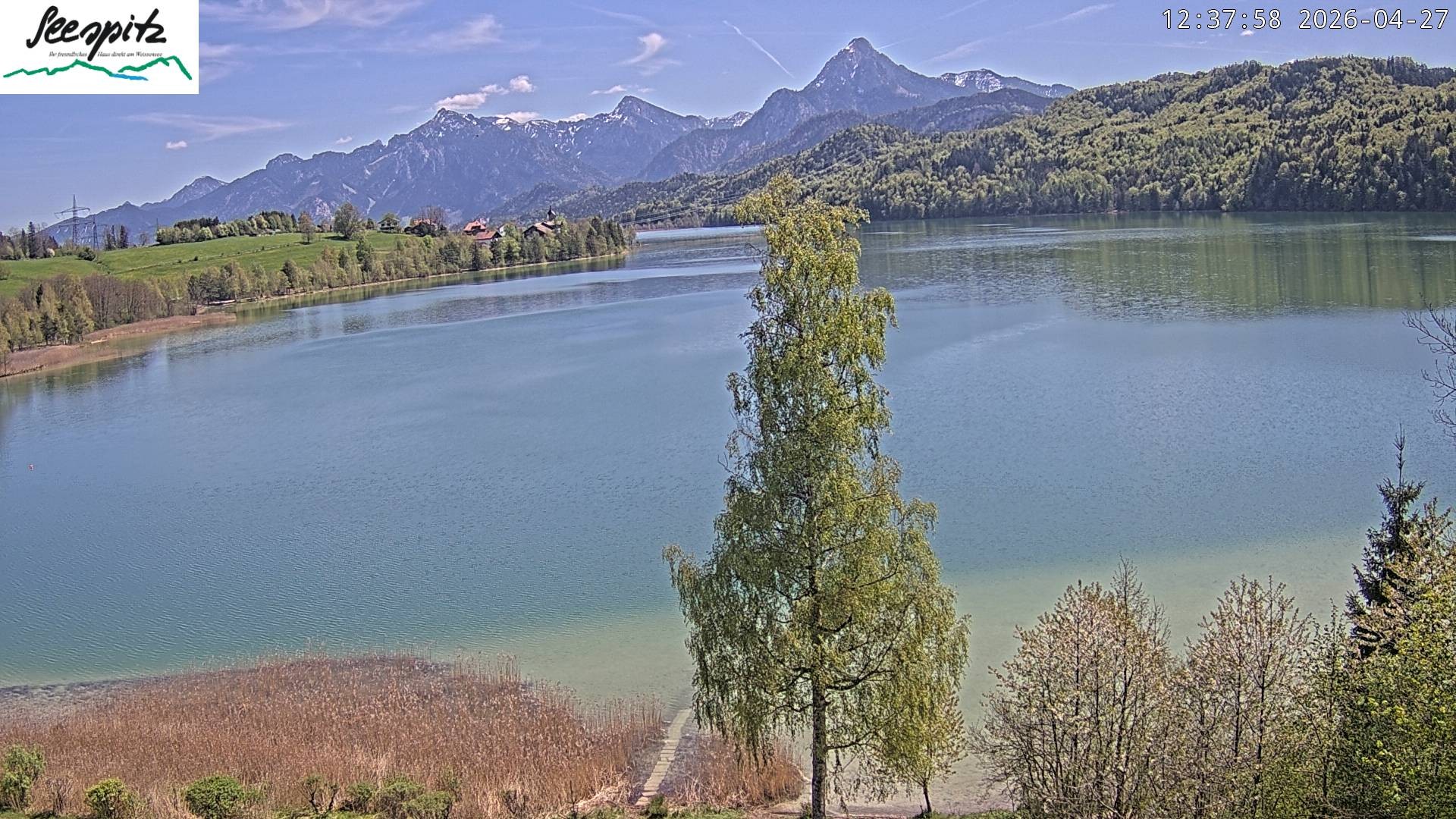 Archiv Foto Webcam Füssen: Blick auf den Weißensee vom Hotel Seespitz