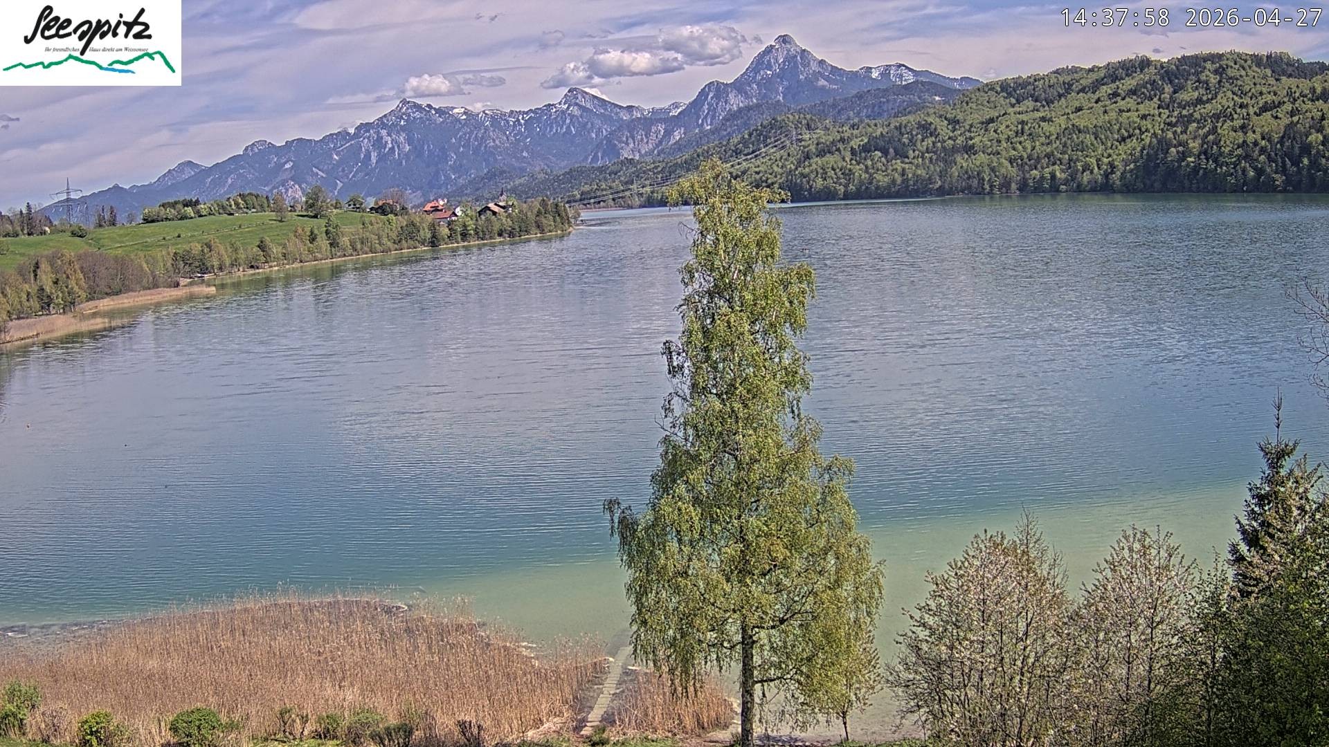 Archiv Foto Webcam Füssen: Blick auf den Weißensee vom Hotel Seespitz