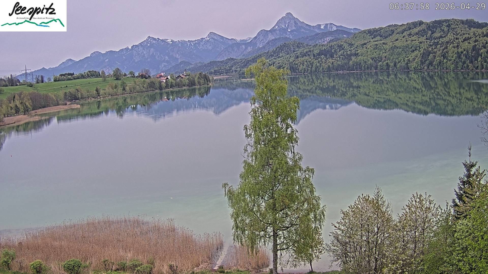 Archiv Foto Webcam Füssen: Blick auf den Weißensee vom Hotel Seespitz