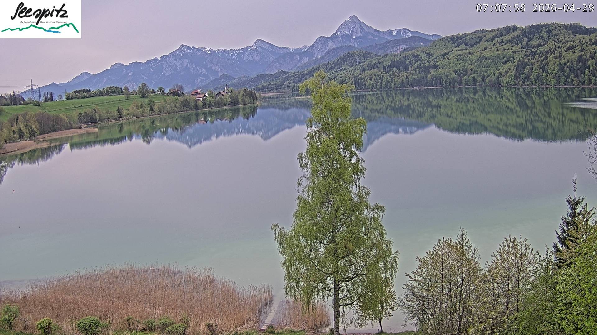 Archiv Foto Webcam Füssen: Blick auf den Weißensee vom Hotel Seespitz