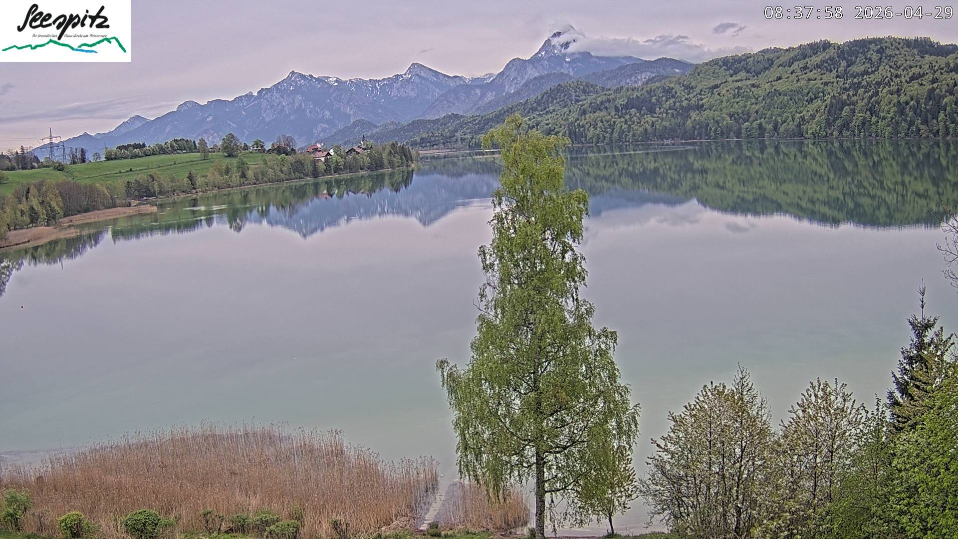 Archiv Foto Webcam Füssen: Blick auf den Weißensee vom Hotel Seespitz