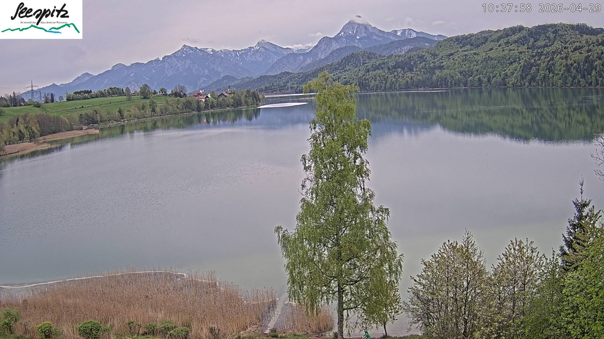 Archiv Foto Webcam Füssen: Blick auf den Weißensee vom Hotel Seespitz