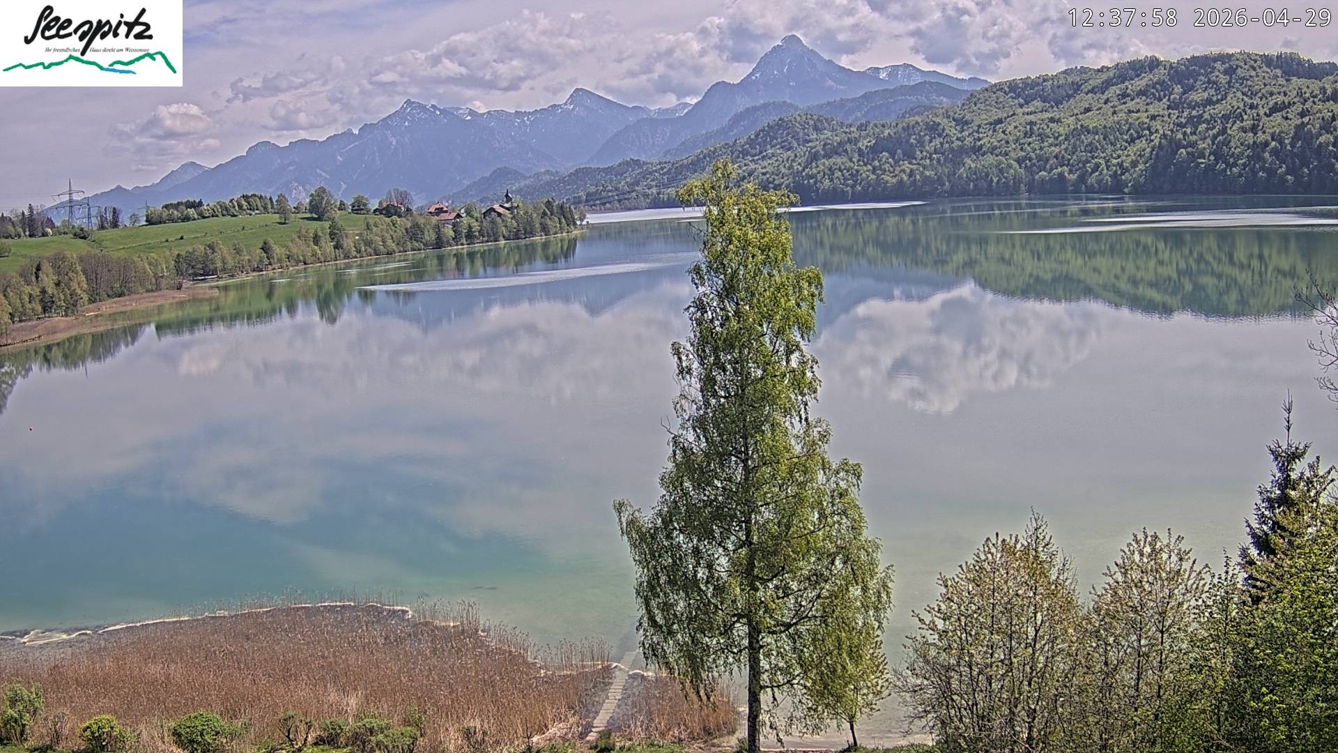 Archiv Foto Webcam Füssen: Blick auf den Weißensee vom Hotel Seespitz
