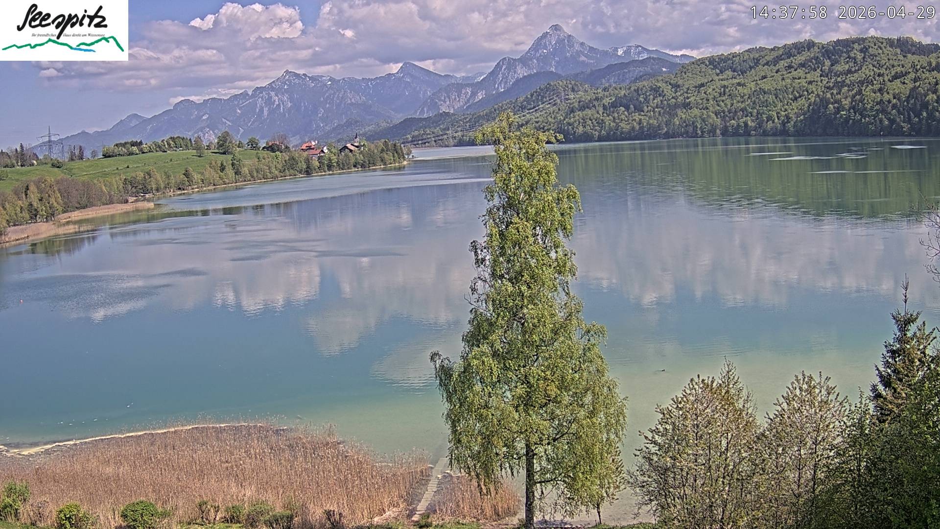 Archiv Foto Webcam Füssen: Blick auf den Weißensee vom Hotel Seespitz