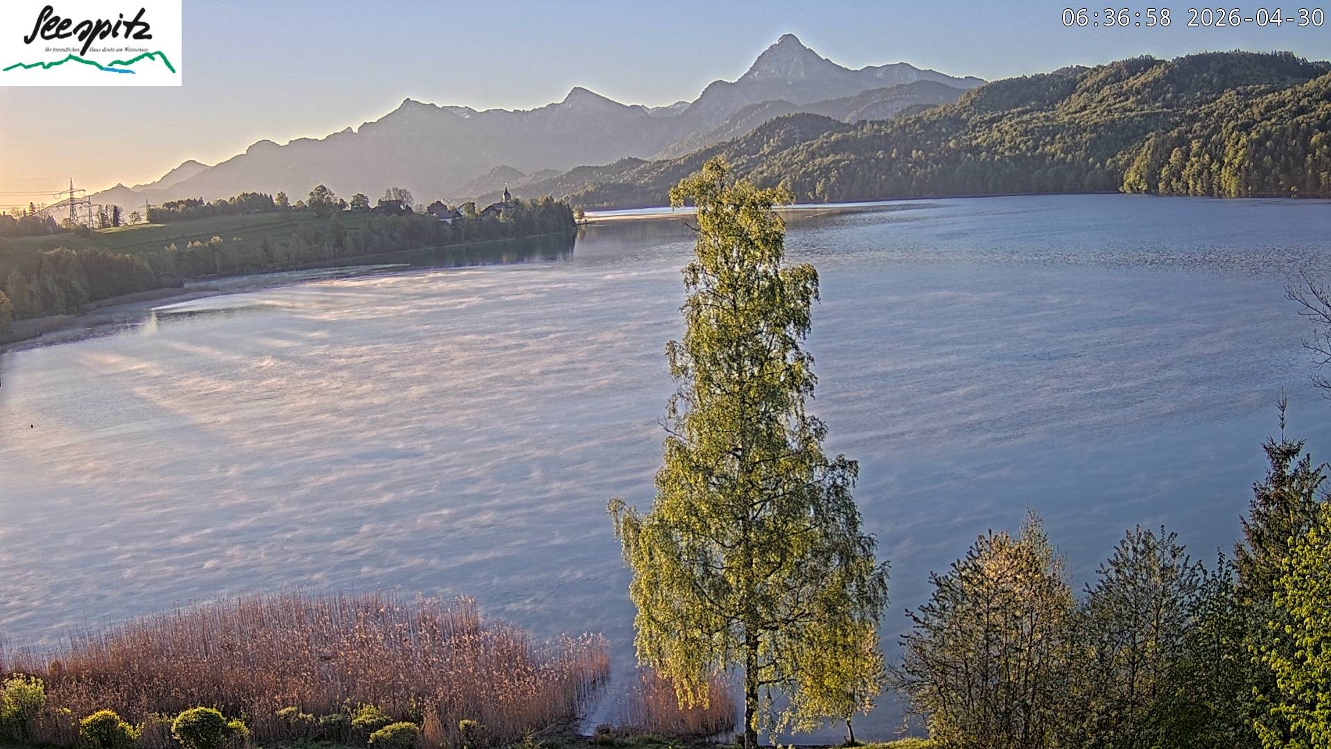 Archiv Foto Webcam Füssen: Blick auf den Weißensee vom Hotel Seespitz