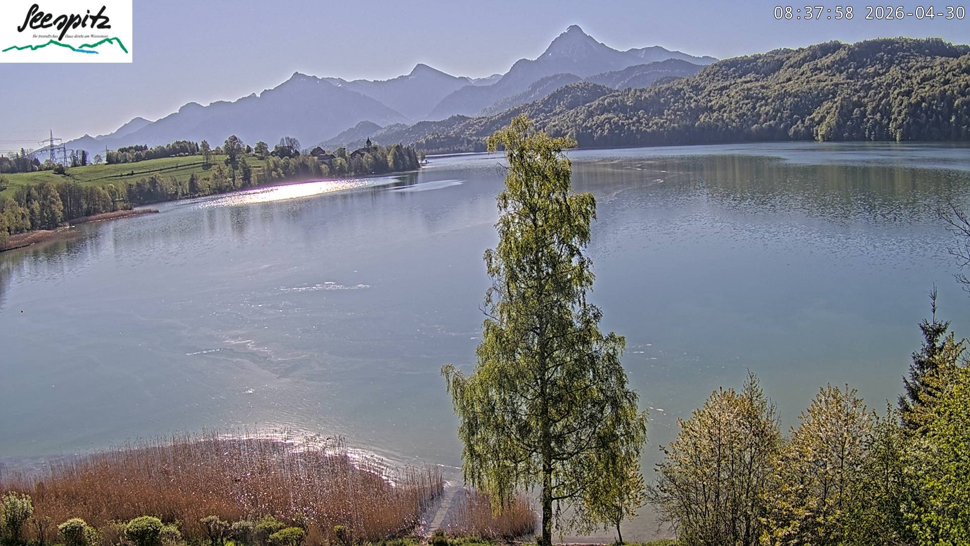 Archiv Foto Webcam Füssen: Blick auf den Weißensee vom Hotel Seespitz