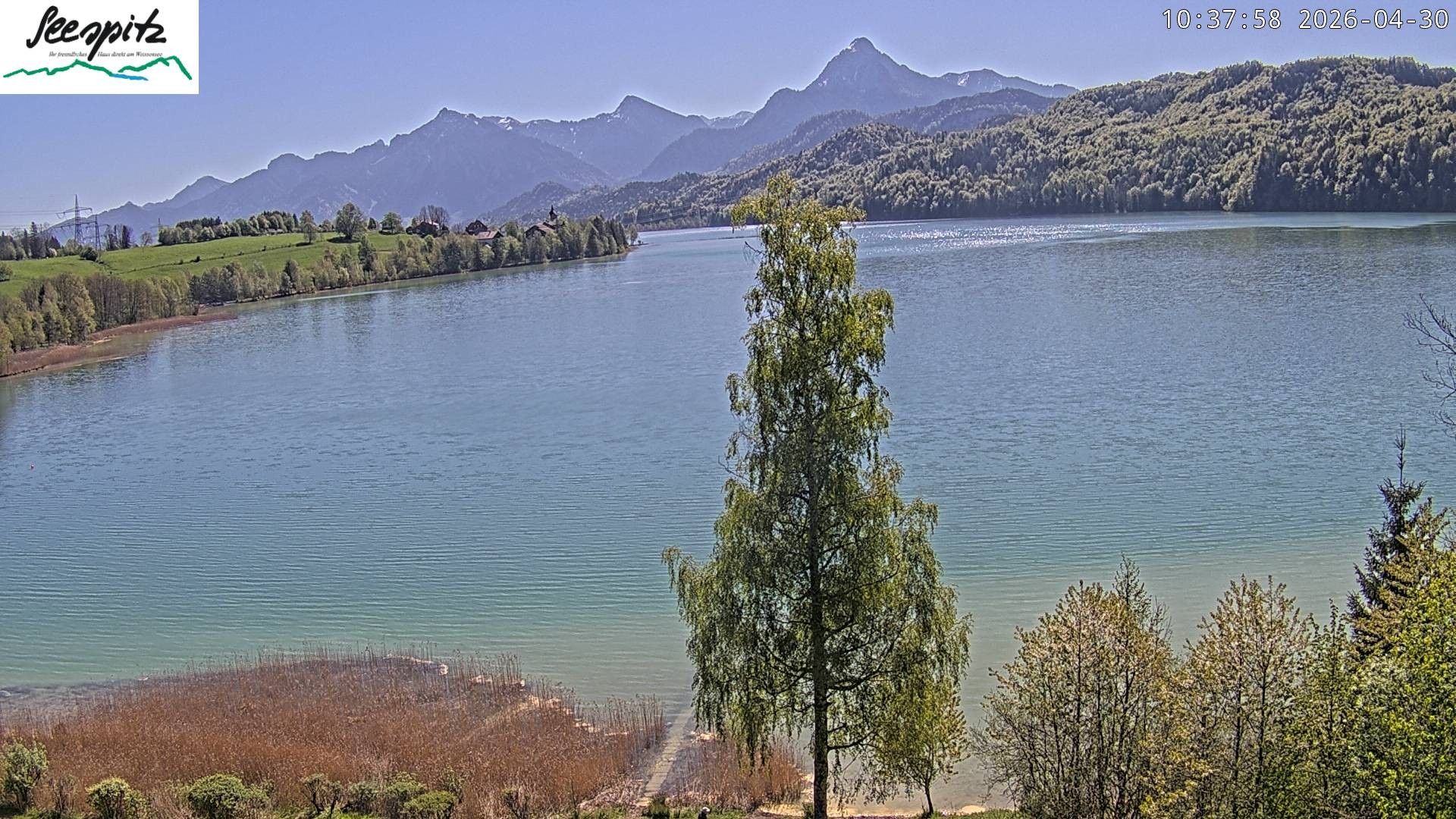 Archiv Foto Webcam Füssen: Blick auf den Weißensee vom Hotel Seespitz