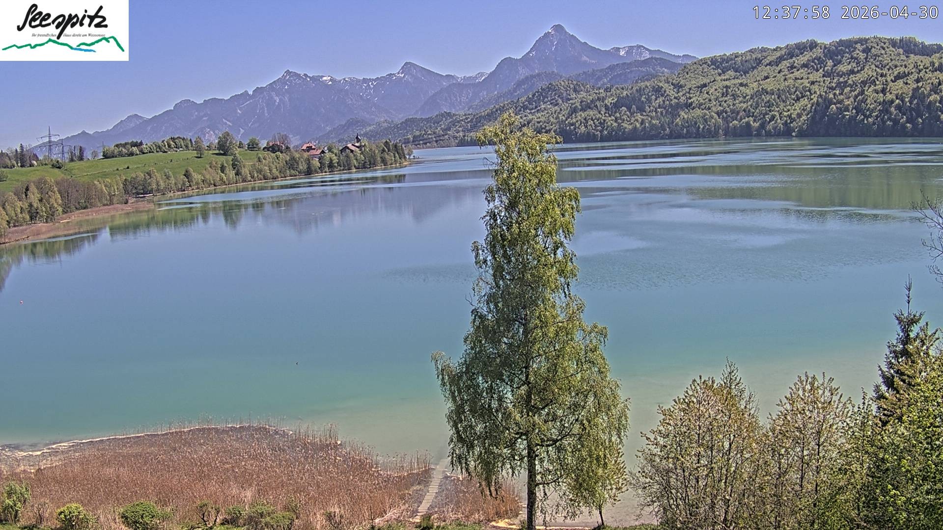Archiv Foto Webcam Füssen: Blick auf den Weißensee vom Hotel Seespitz