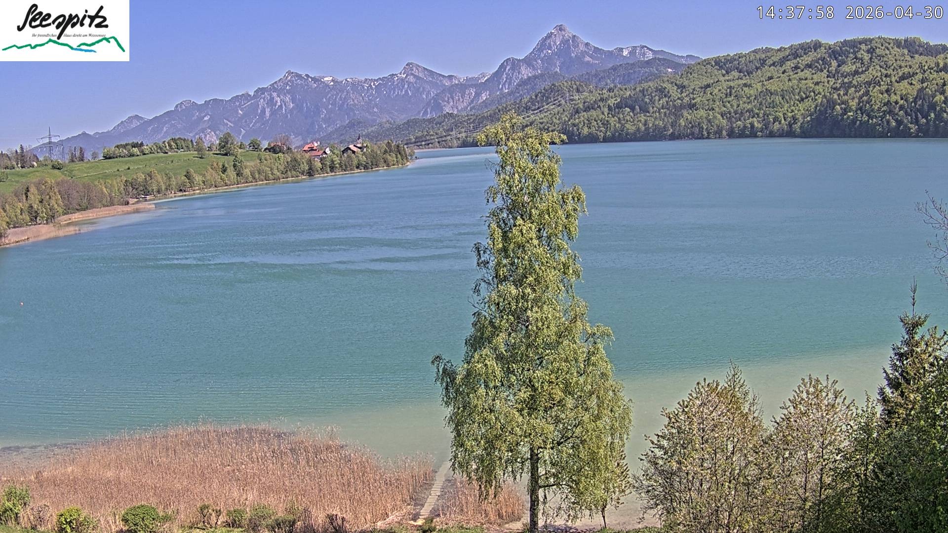 Archiv Foto Webcam Füssen: Blick auf den Weißensee vom Hotel Seespitz