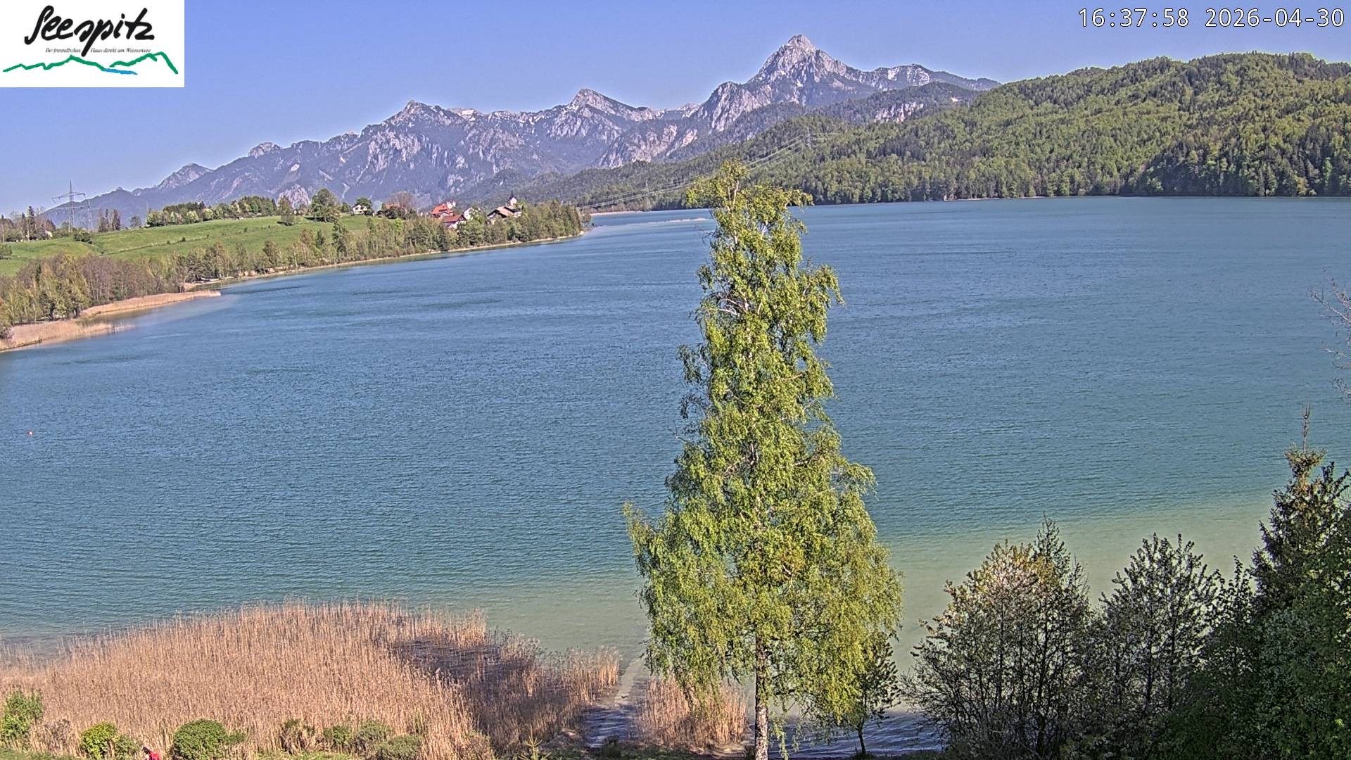 Archived image Webcam Weissensee near Füssen
