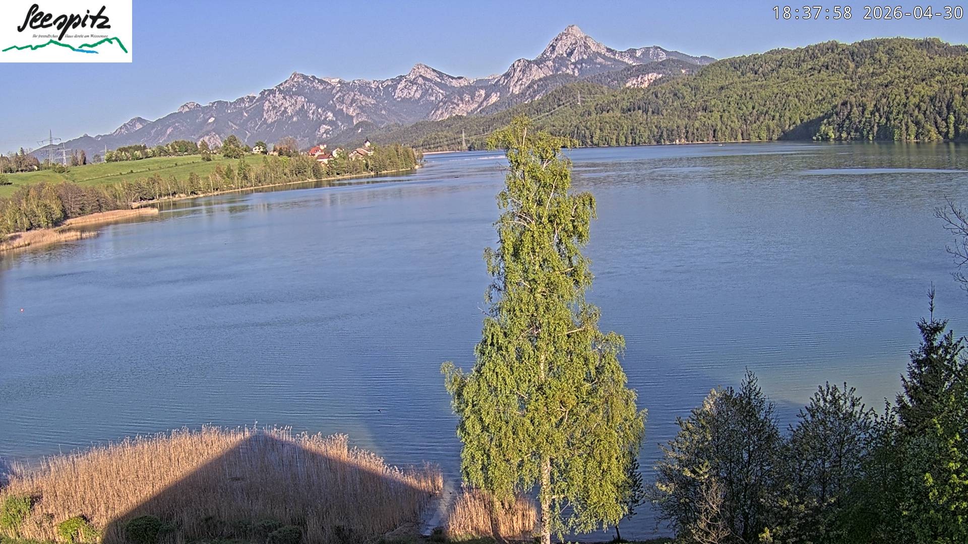 Archiv Foto Webcam Füssen: Blick auf den Weißensee vom Hotel Seespitz