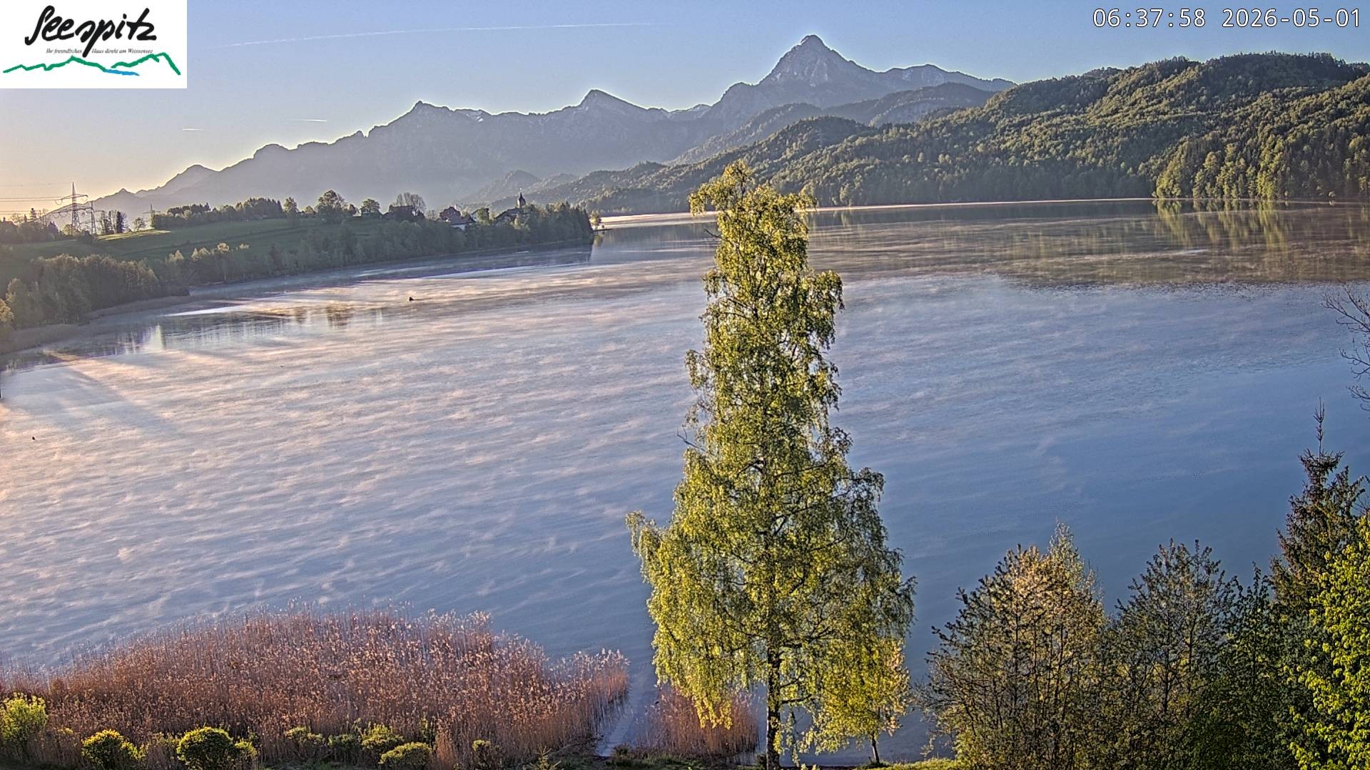 Archiv Foto Webcam Füssen: Blick auf den Weißensee vom Hotel Seespitz