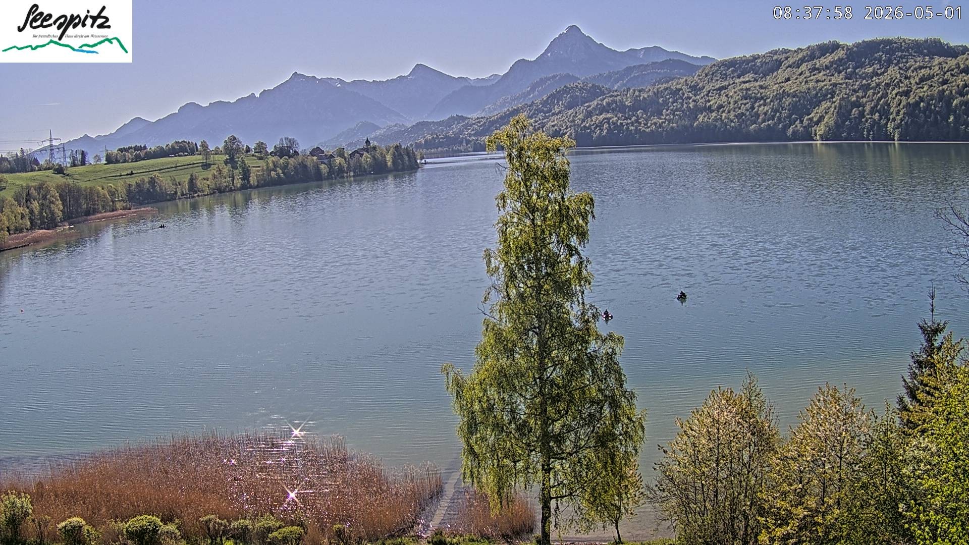 Archiv Foto Webcam Füssen: Blick auf den Weißensee vom Hotel Seespitz