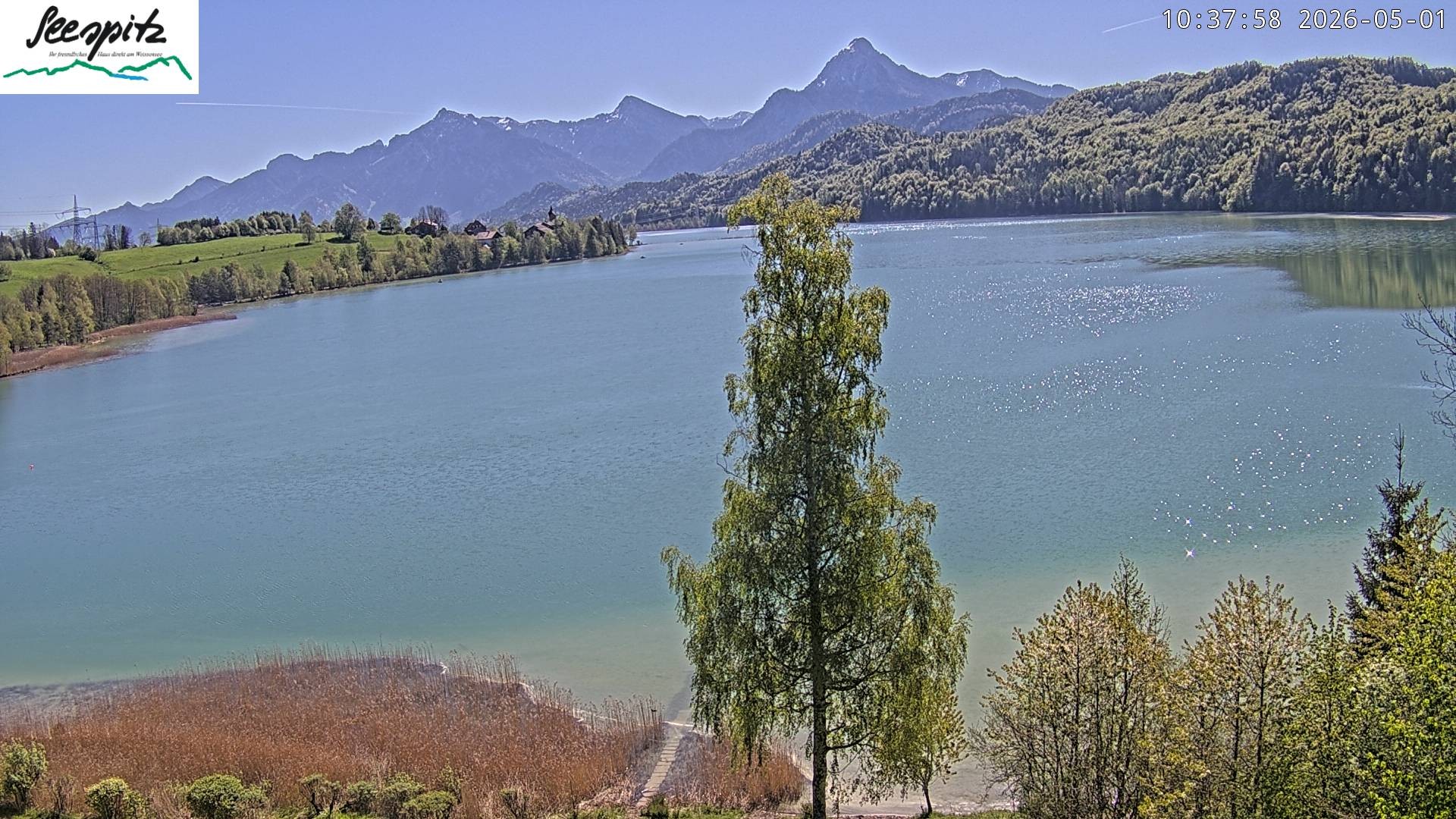 Archiv Foto Webcam Füssen: Blick auf den Weißensee vom Hotel Seespitz
