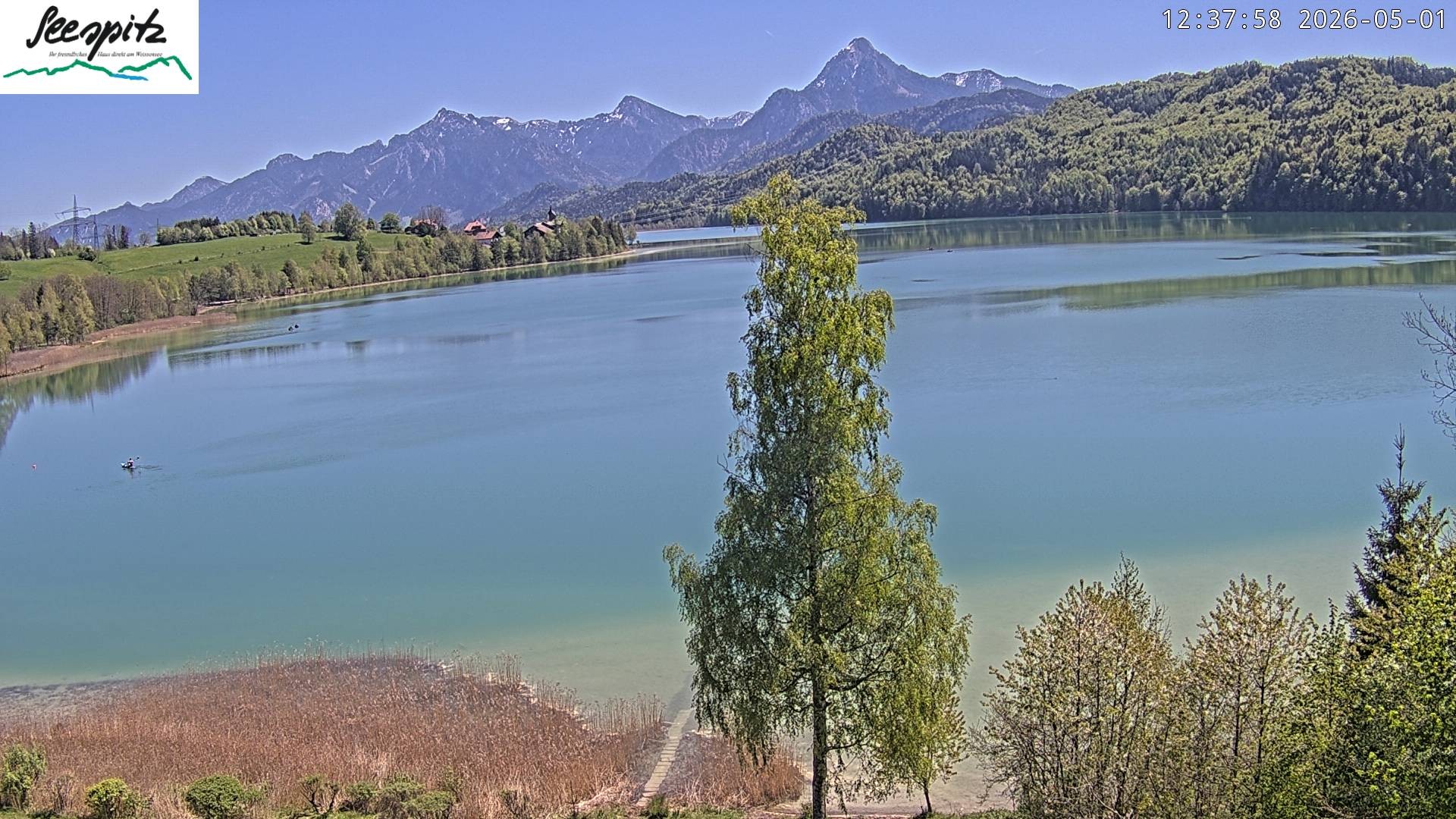 Archiv Foto Webcam Füssen: Blick auf den Weißensee vom Hotel Seespitz