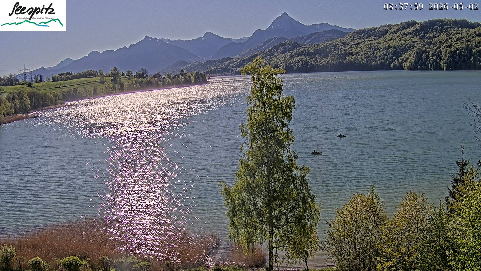 Archiv Foto Webcam Füssen: Blick auf den Weißensee vom Hotel Seespitz