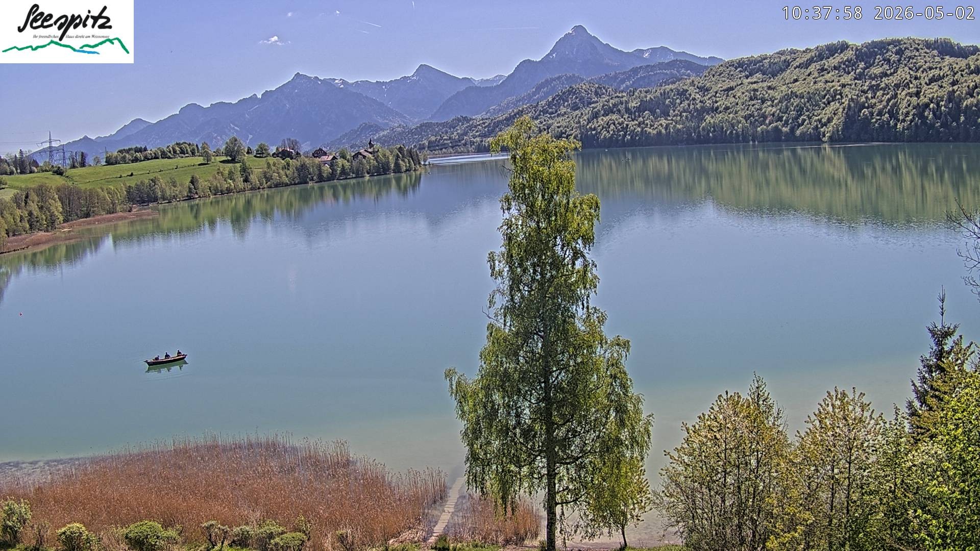 Archiv Foto Webcam Füssen: Blick auf den Weißensee vom Hotel Seespitz