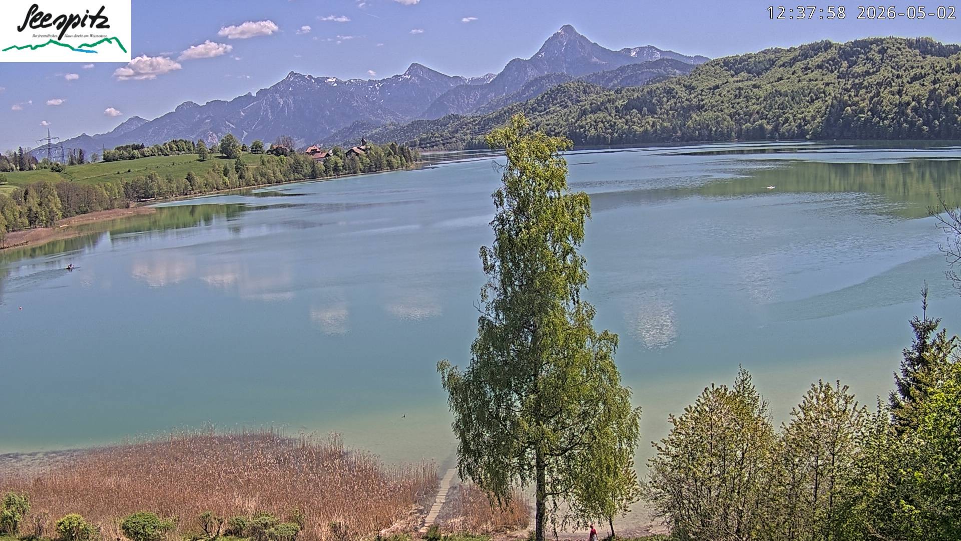 Archiv Foto Webcam Füssen: Blick auf den Weißensee vom Hotel Seespitz