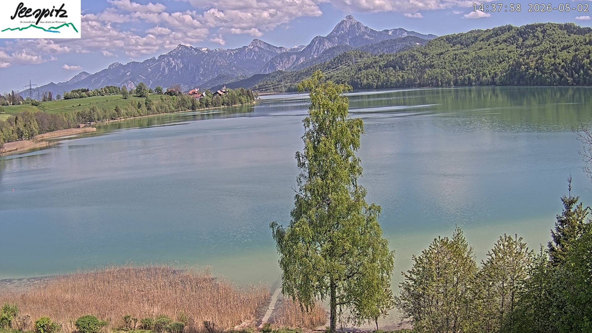 Archiv Foto Webcam Füssen: Blick auf den Weißensee vom Hotel Seespitz