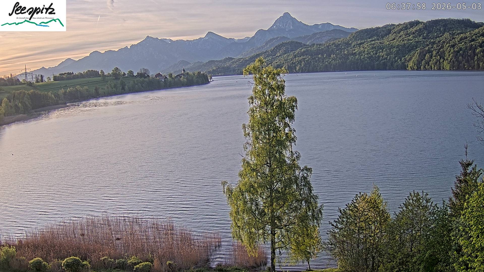 Archiv Foto Webcam Füssen: Blick auf den Weißensee vom Hotel Seespitz