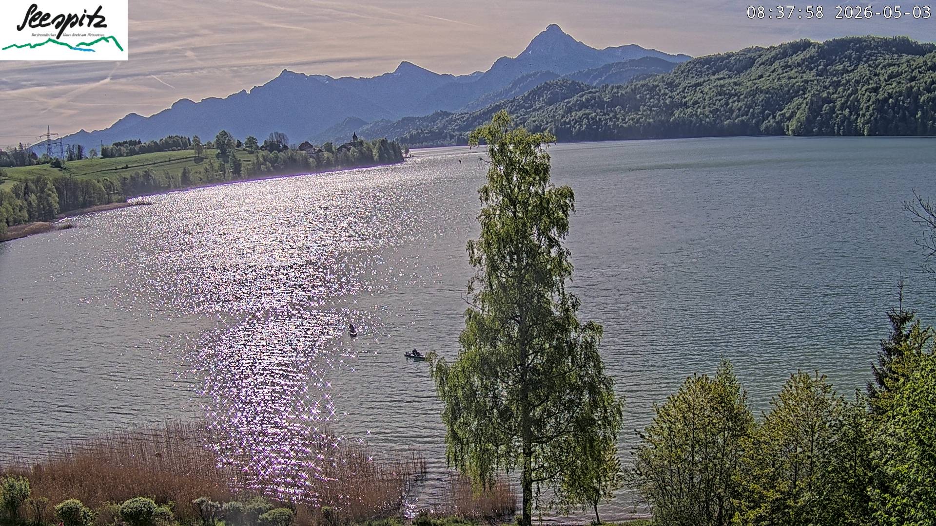 Archiv Foto Webcam Füssen: Blick auf den Weißensee vom Hotel Seespitz