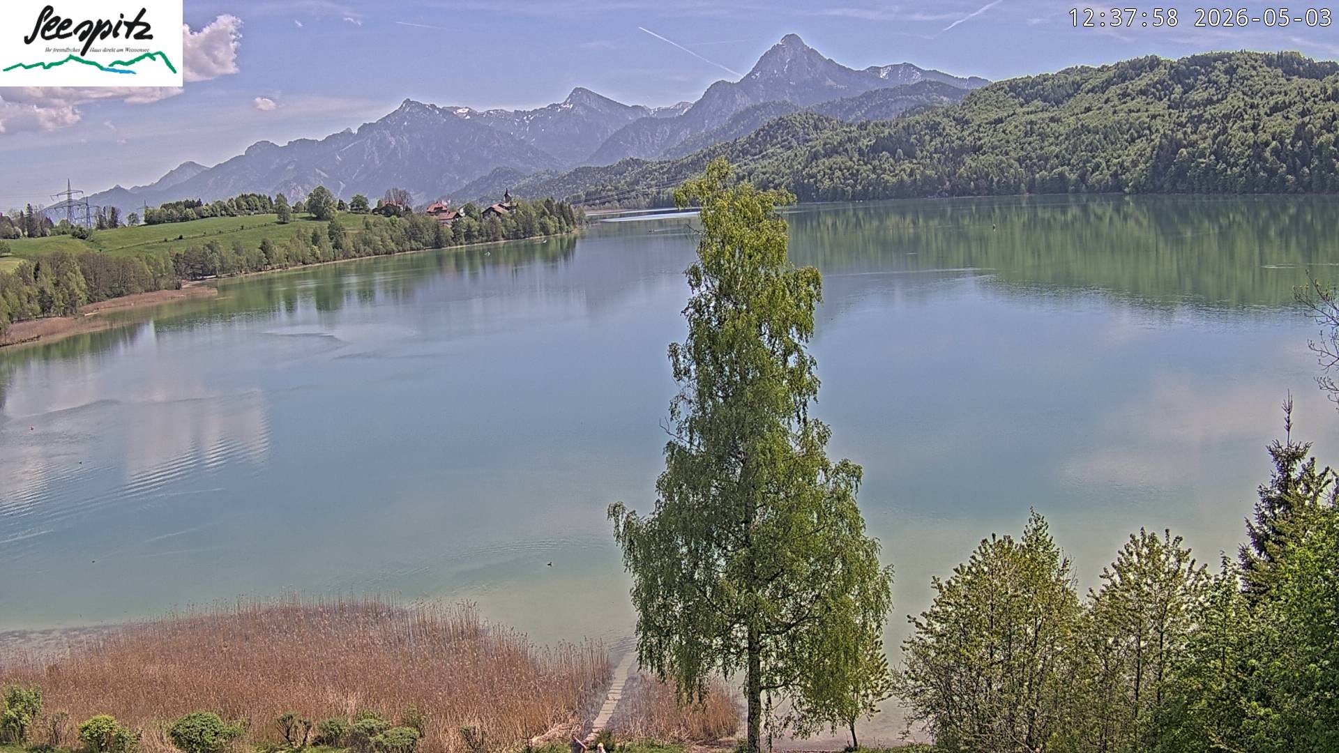 Archiv Foto Webcam Füssen: Blick auf den Weißensee vom Hotel Seespitz