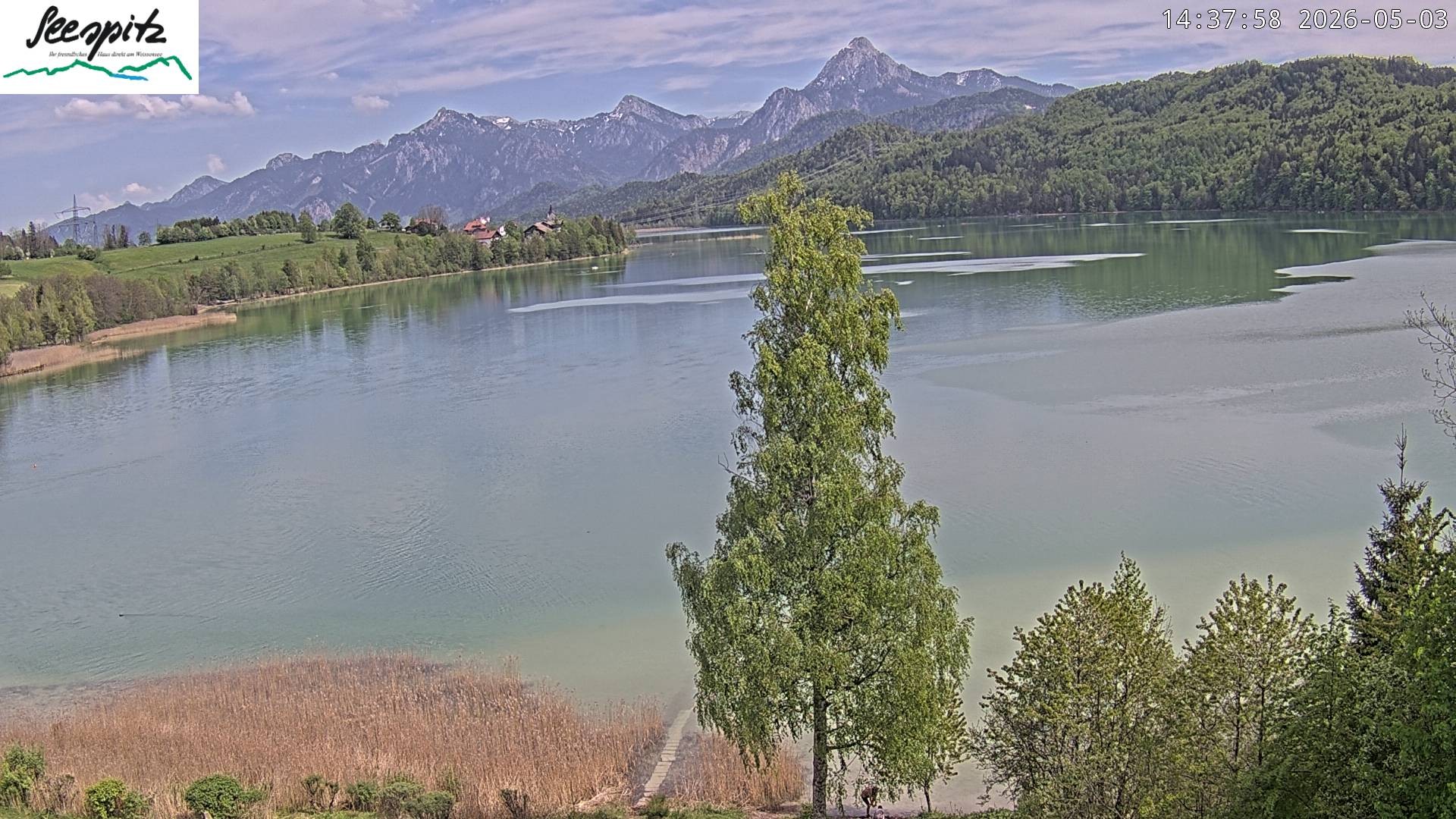 Archiv Foto Webcam Füssen: Blick auf den Weißensee vom Hotel Seespitz