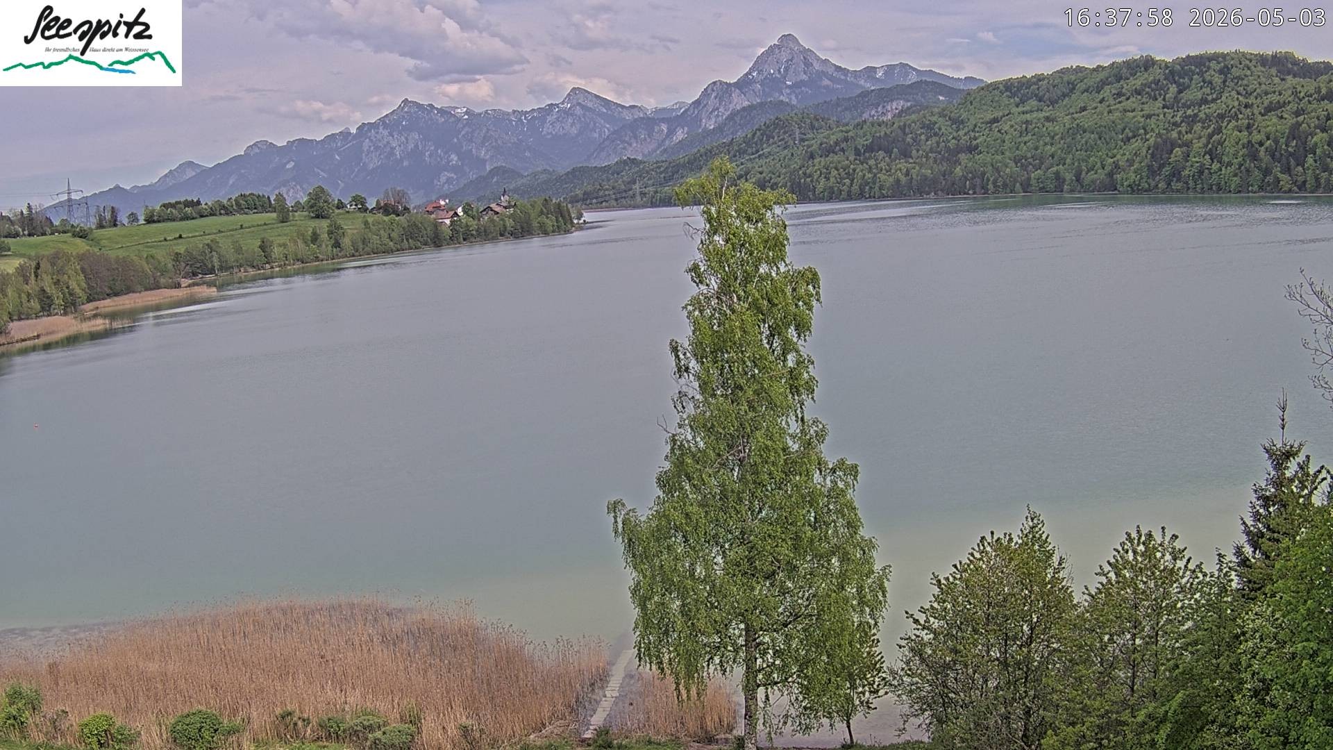 Archiv Foto Webcam Füssen: Blick auf den Weißensee vom Hotel Seespitz