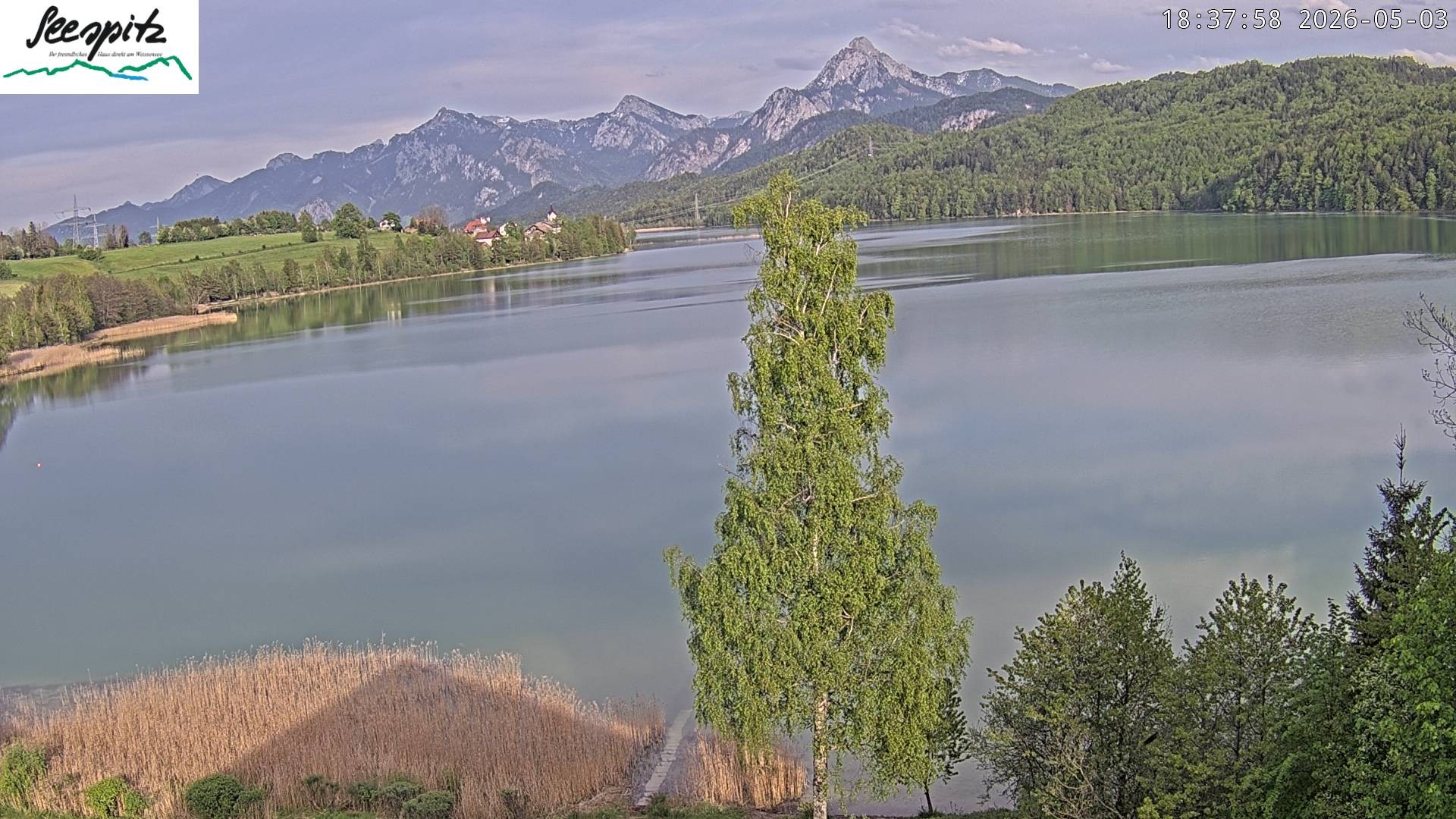 Archiv Foto Webcam Füssen: Blick auf den Weißensee vom Hotel Seespitz