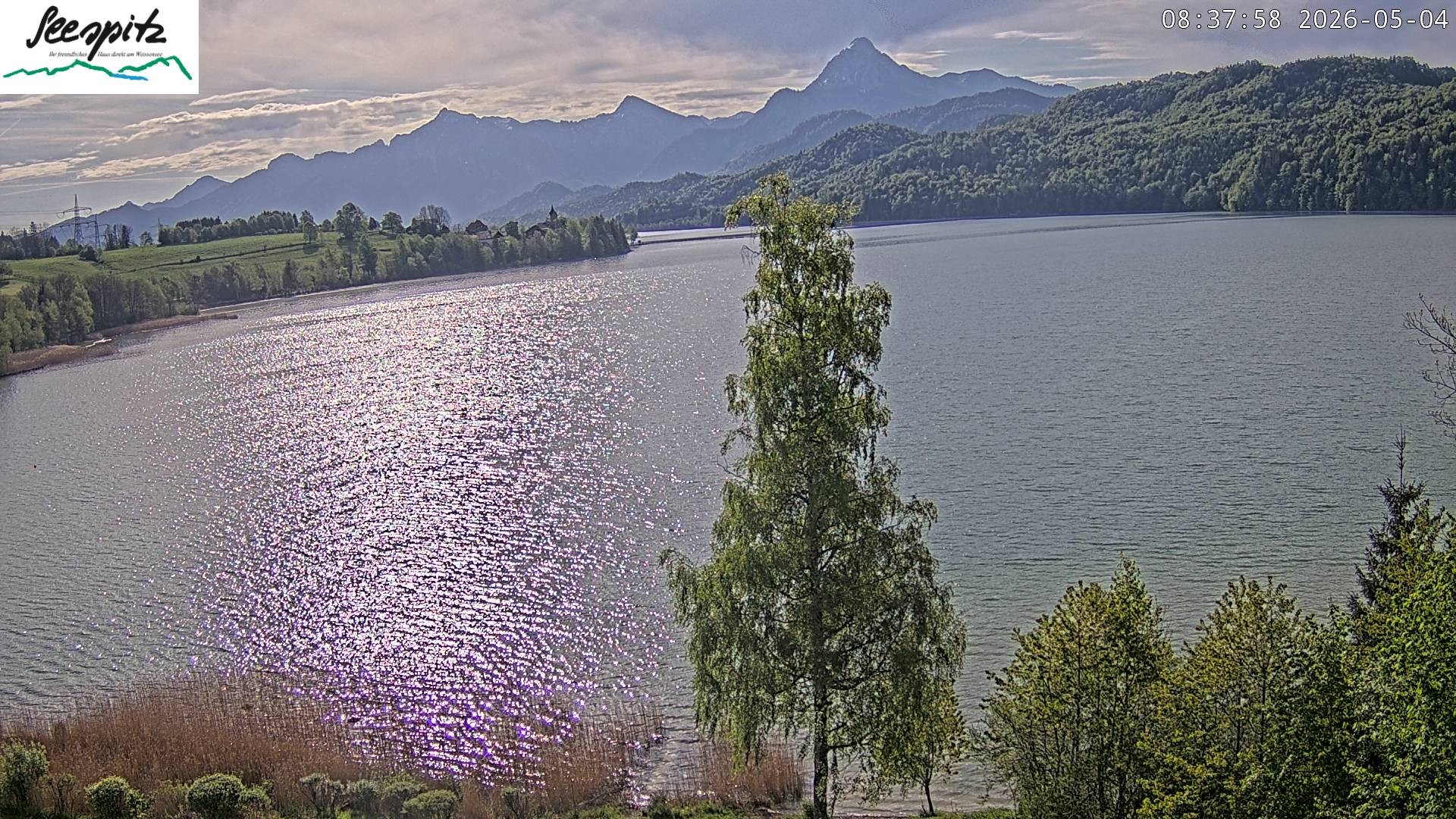 Archiv Foto Webcam Füssen: Blick auf den Weißensee vom Hotel Seespitz