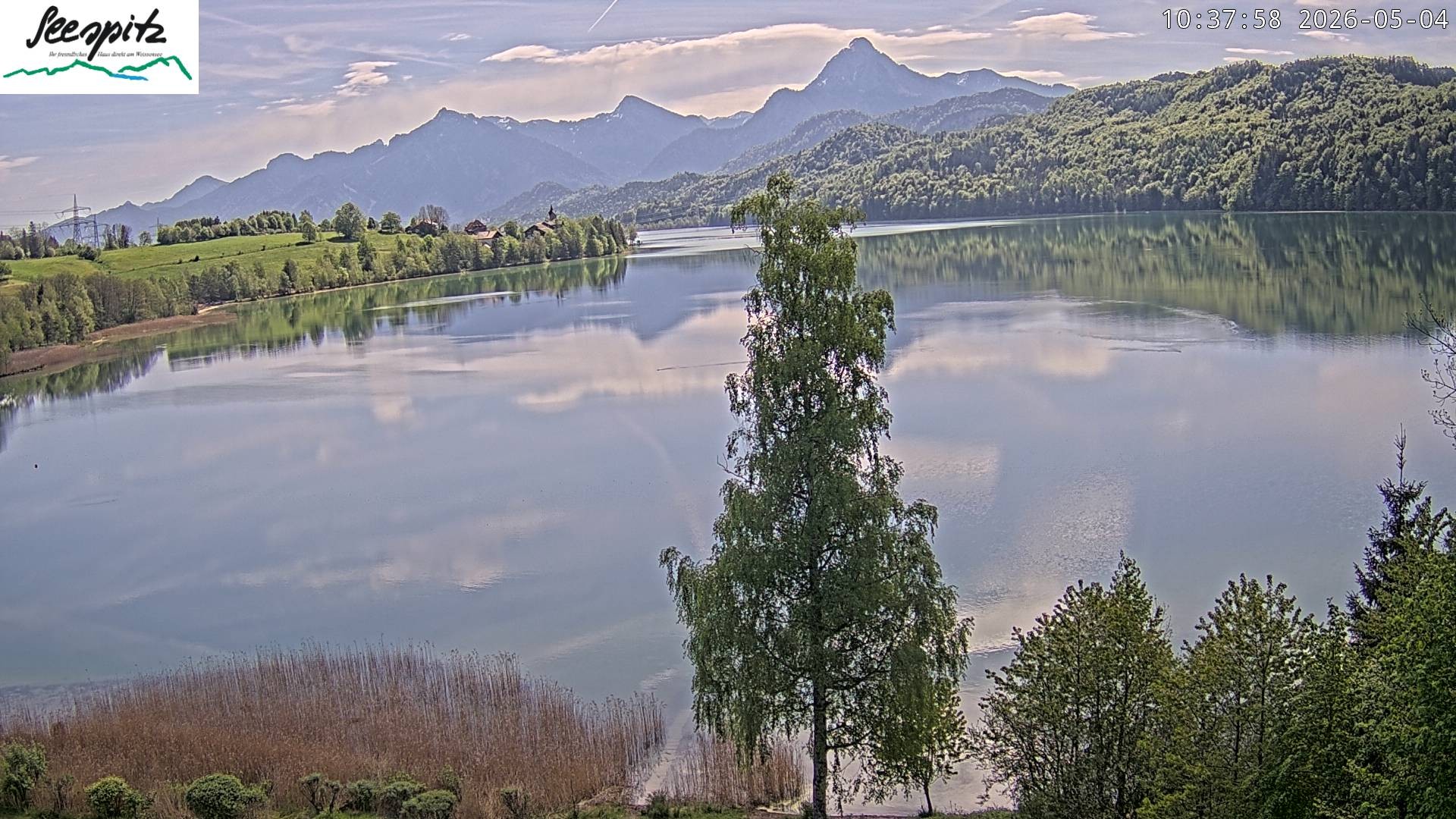 Archiv Foto Webcam Füssen: Blick auf den Weißensee vom Hotel Seespitz